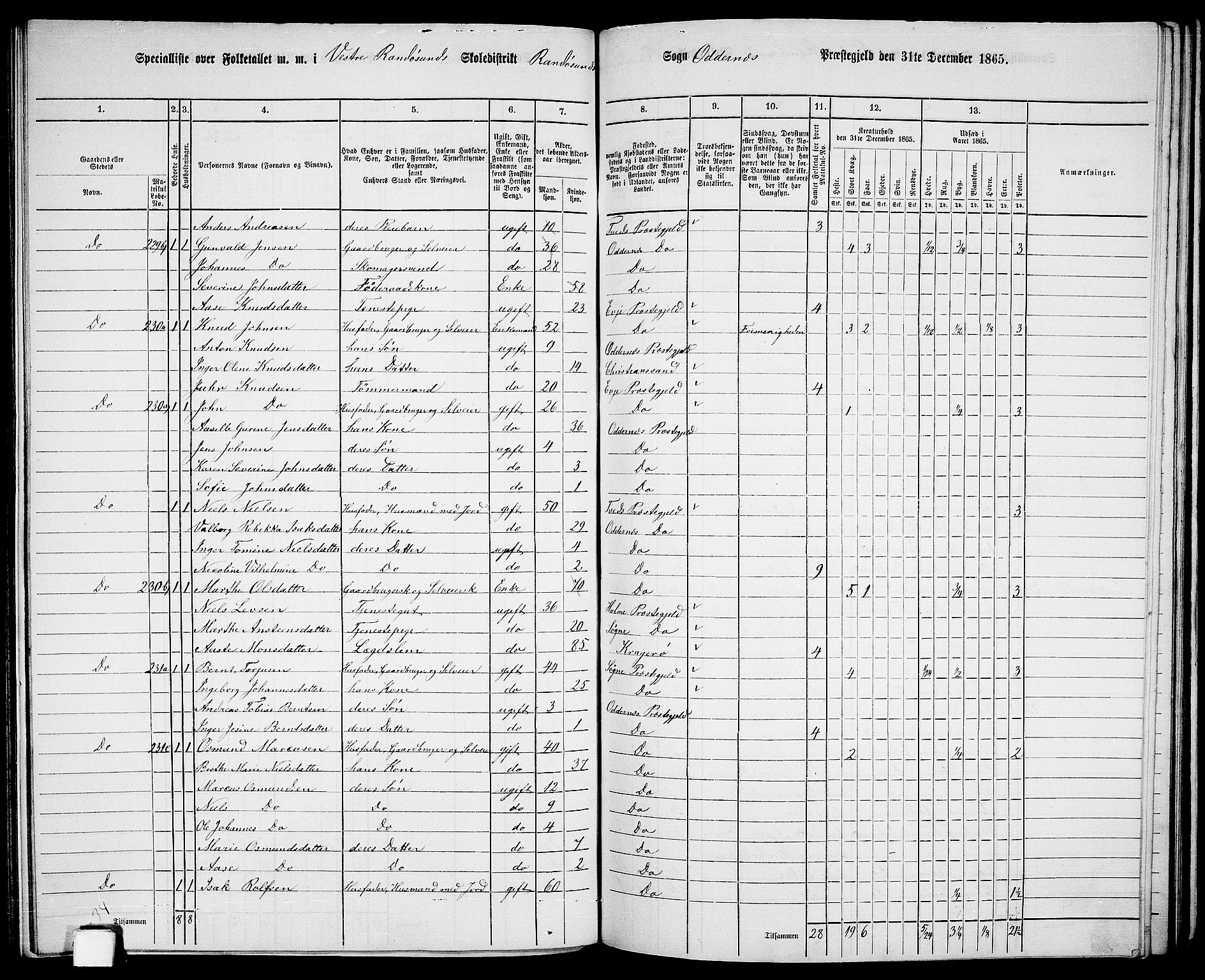 RA, 1865 census for Oddernes, 1865, p. 121