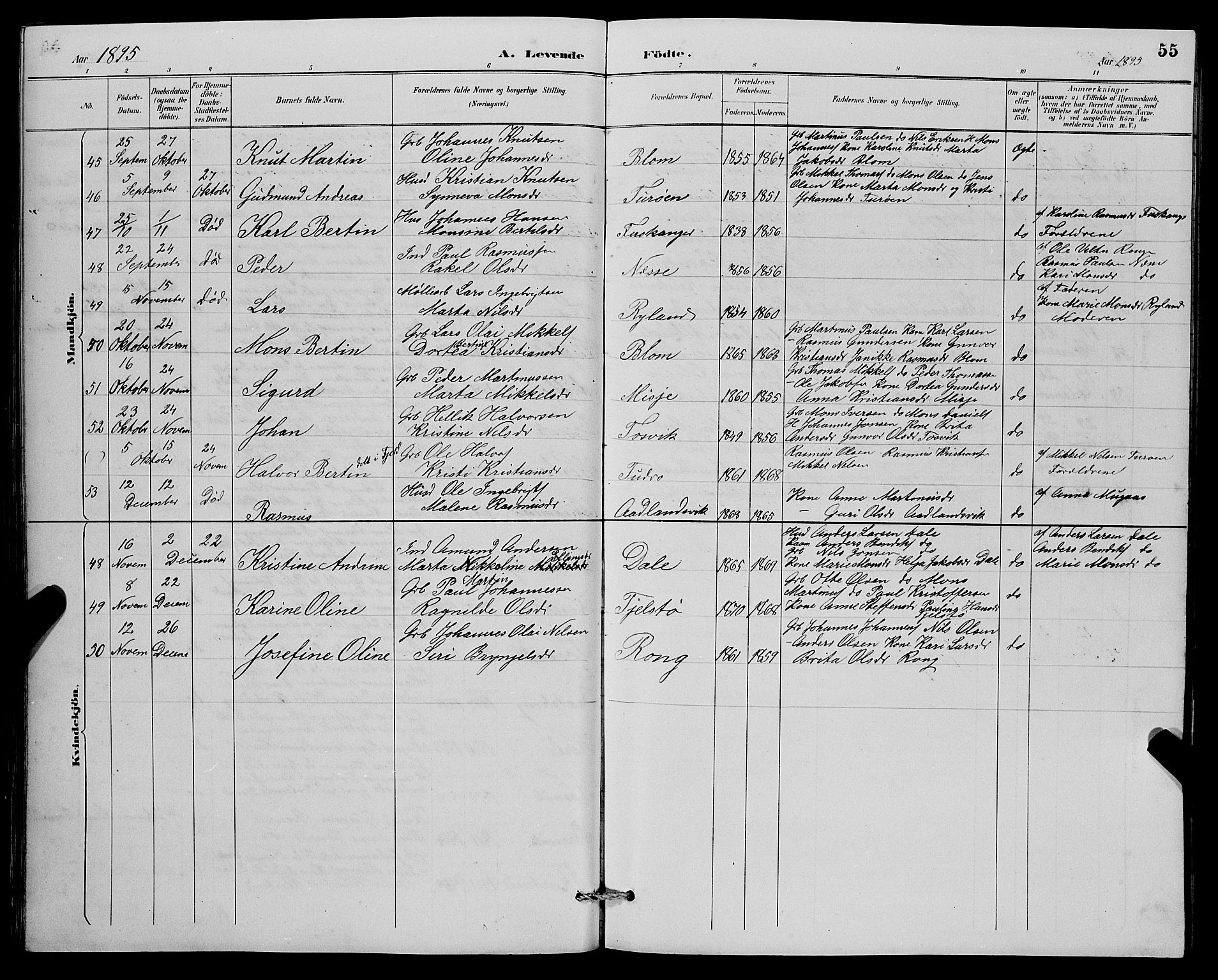 Herdla Sokneprestembete, AV/SAB-A-75701/H/Hab: Parish register (copy) no. A 3, 1889-1899, p. 55