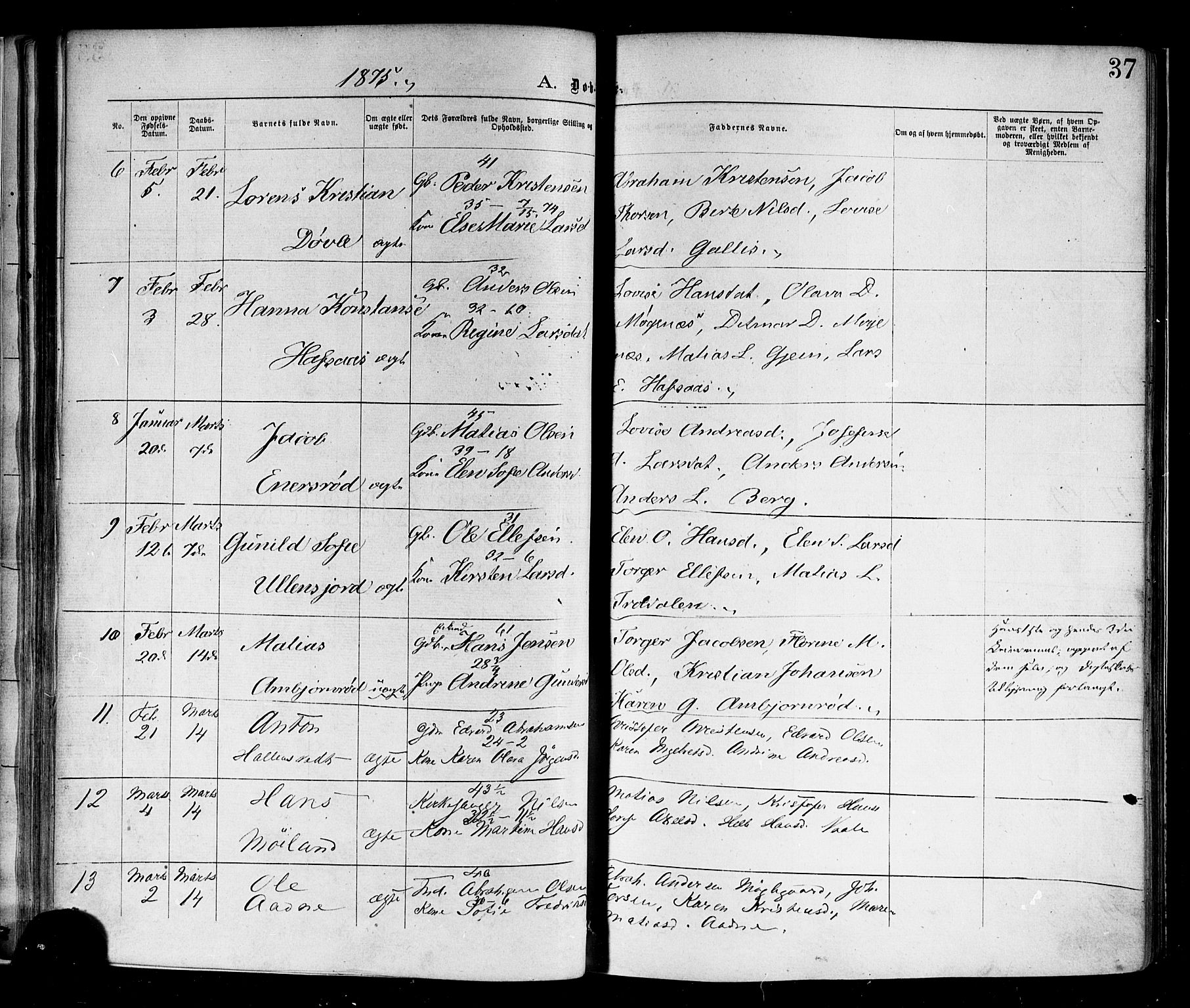 Andebu kirkebøker, AV/SAKO-A-336/F/Fa/L0006: Parish register (official) no. I 6, 1871-1878, p. 37