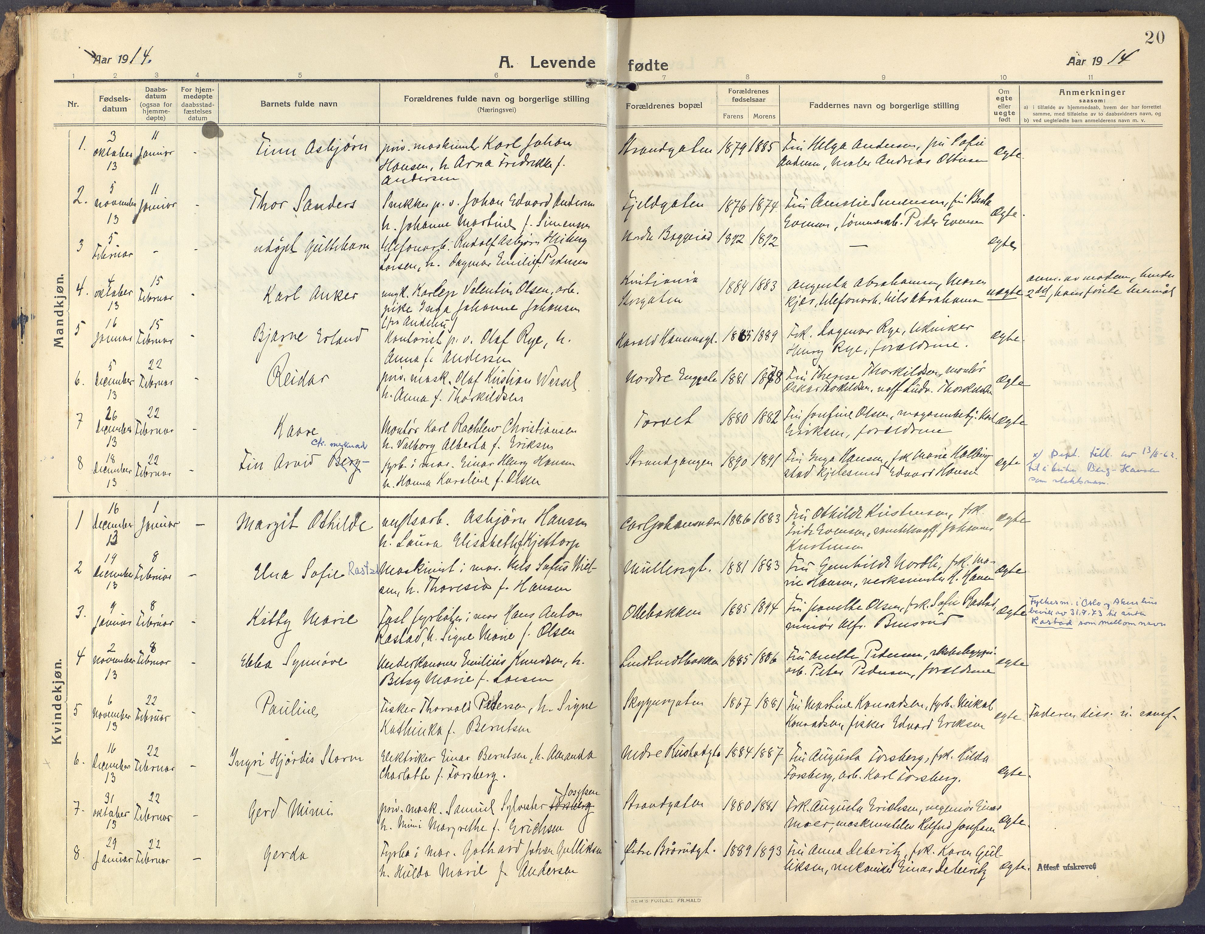 Horten kirkebøker, AV/SAKO-A-348/F/Fa/L0012: Parish register (official) no. 12, 1913-1926, p. 20