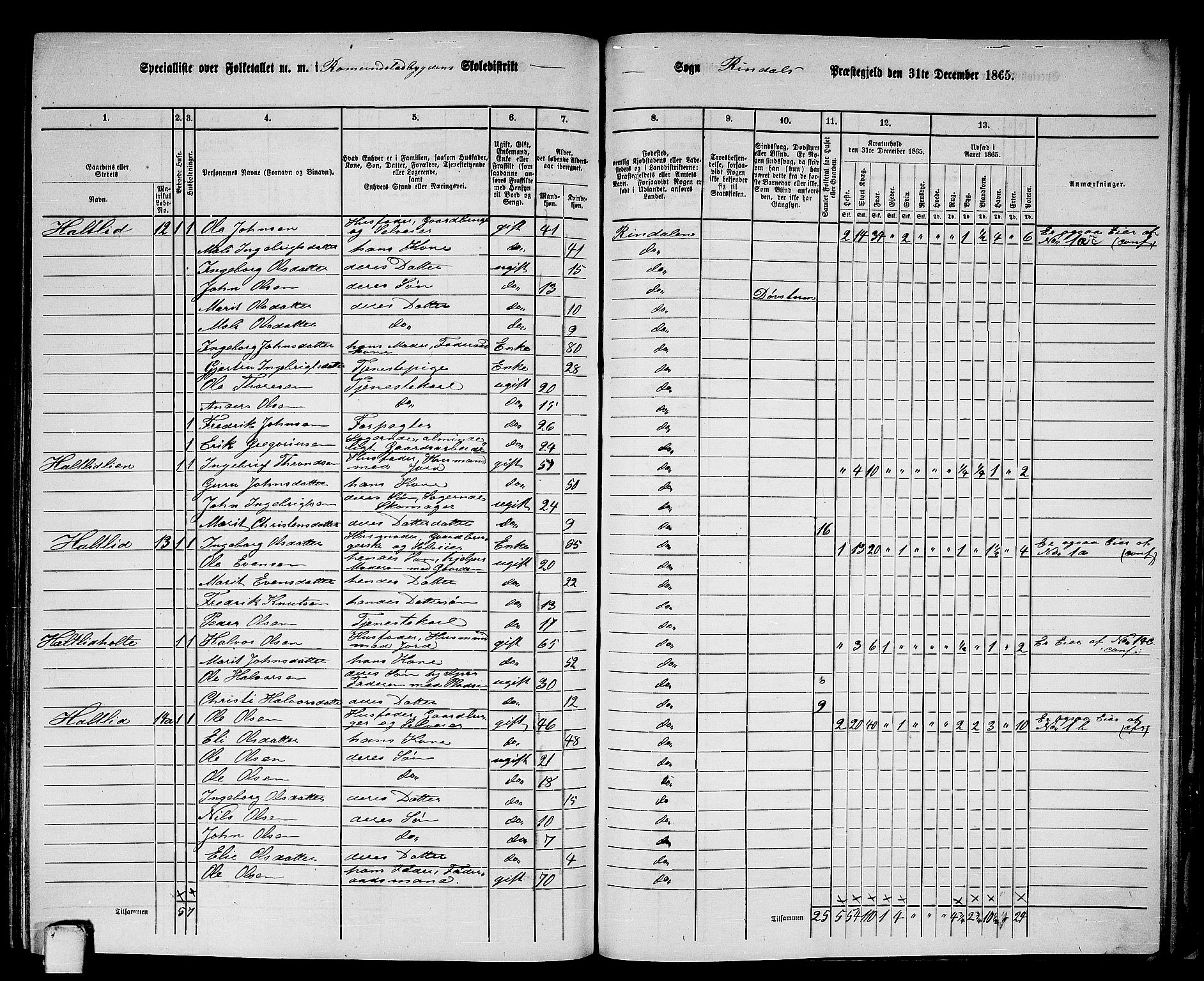 RA, 1865 census for Rindal, 1865, p. 74