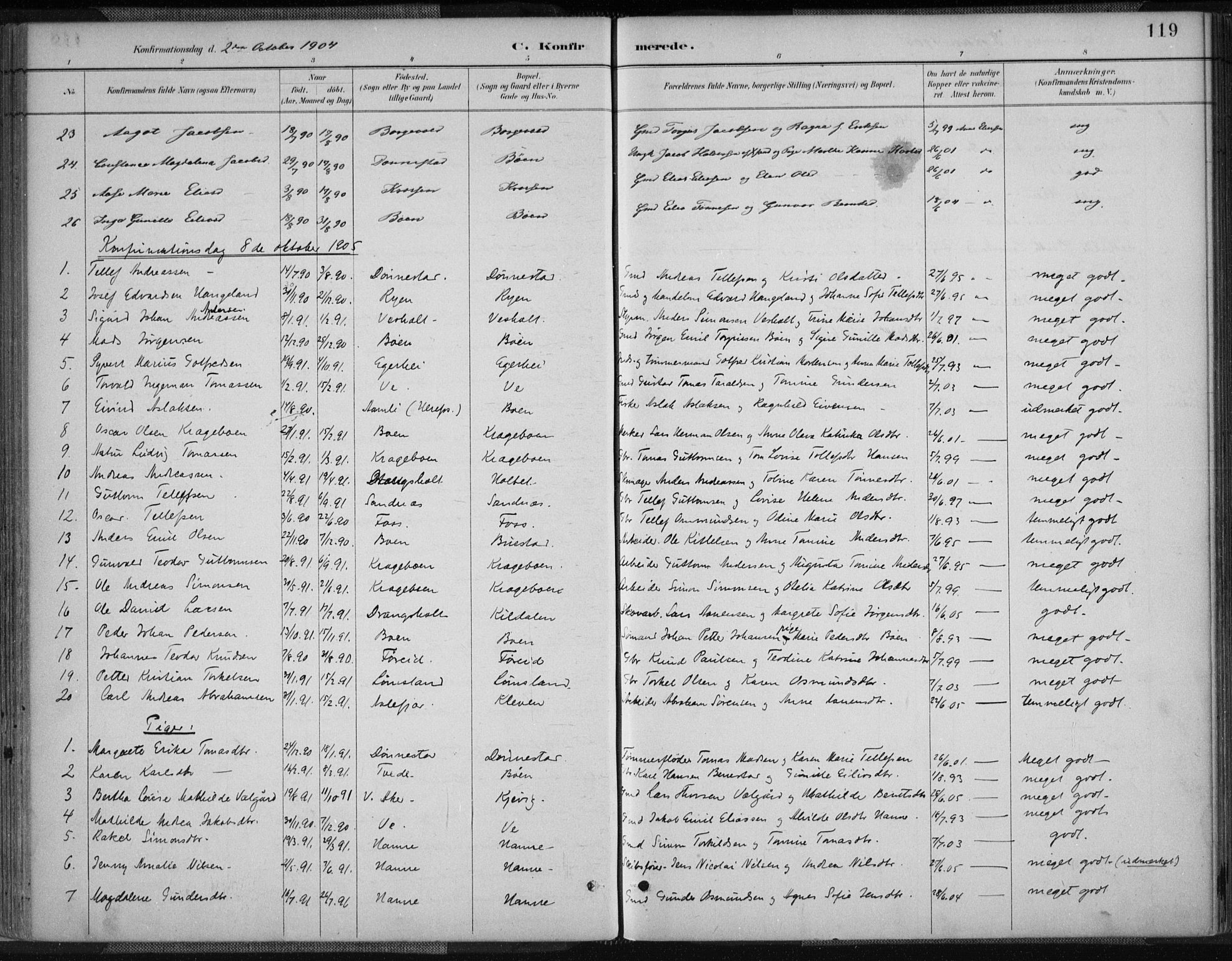 Tveit sokneprestkontor, AV/SAK-1111-0043/F/Fa/L0007: Parish register (official) no. A 7, 1887-1908, p. 119