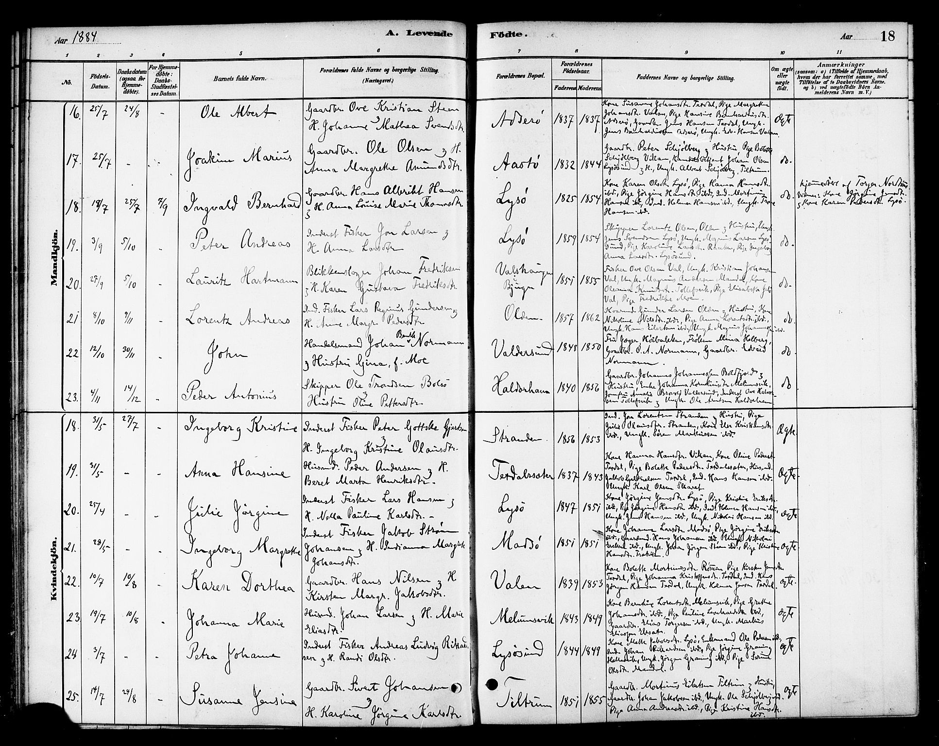 Ministerialprotokoller, klokkerbøker og fødselsregistre - Sør-Trøndelag, AV/SAT-A-1456/654/L0663: Parish register (official) no. 654A01, 1880-1894, p. 18