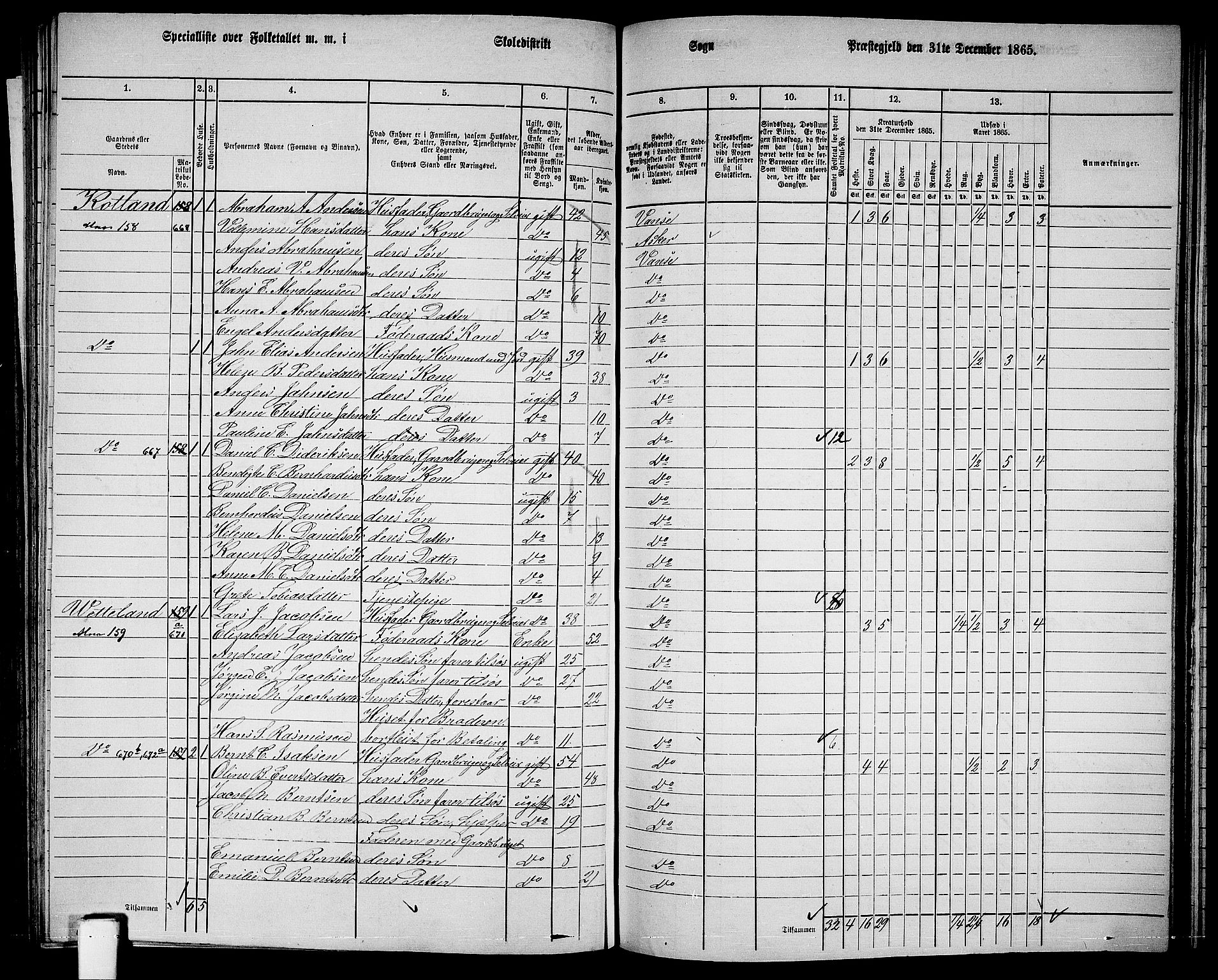 RA, 1865 census for Vanse/Vanse og Farsund, 1865, p. 202