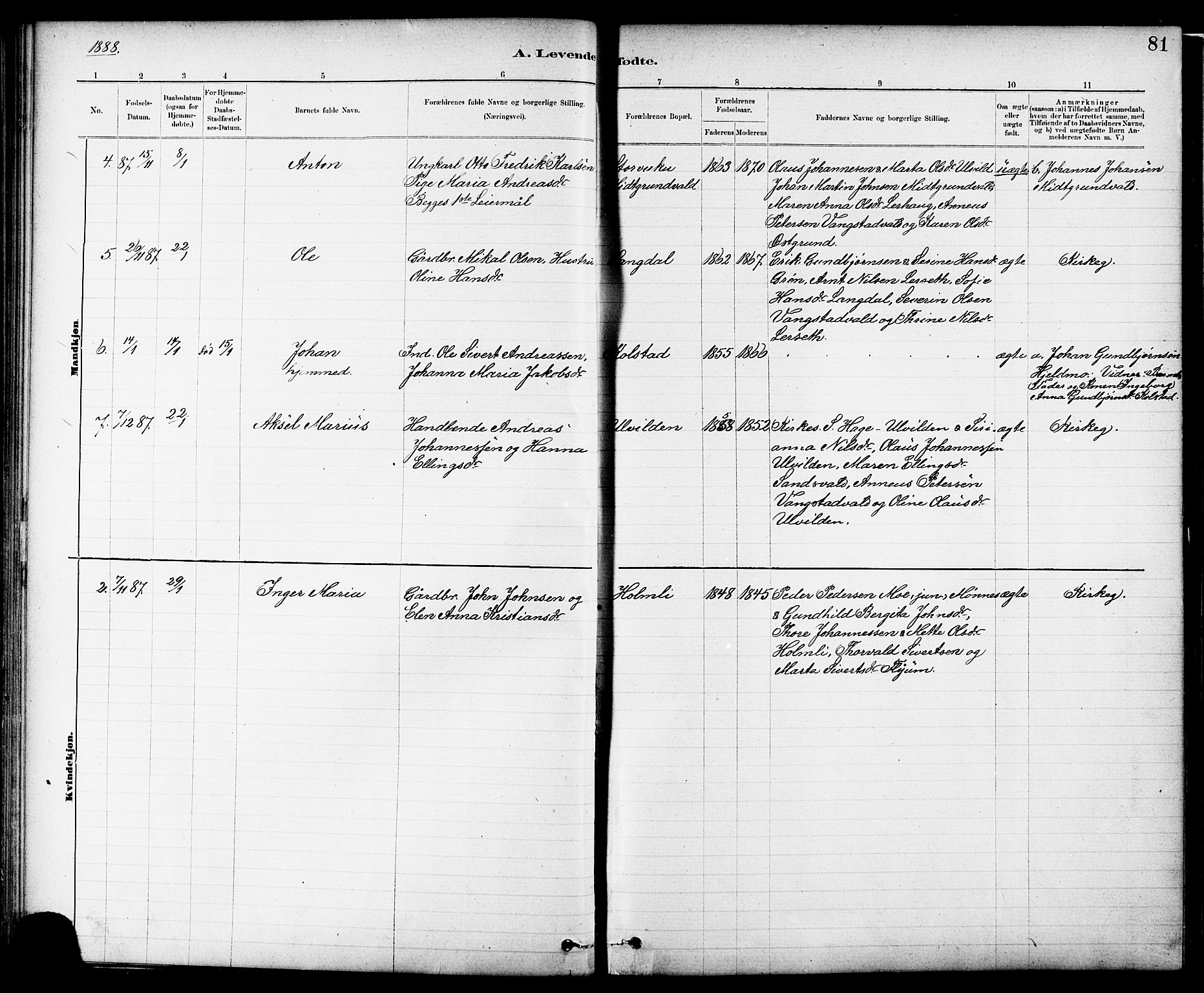 Ministerialprotokoller, klokkerbøker og fødselsregistre - Nord-Trøndelag, AV/SAT-A-1458/724/L0267: Parish register (copy) no. 724C03, 1879-1898, p. 81