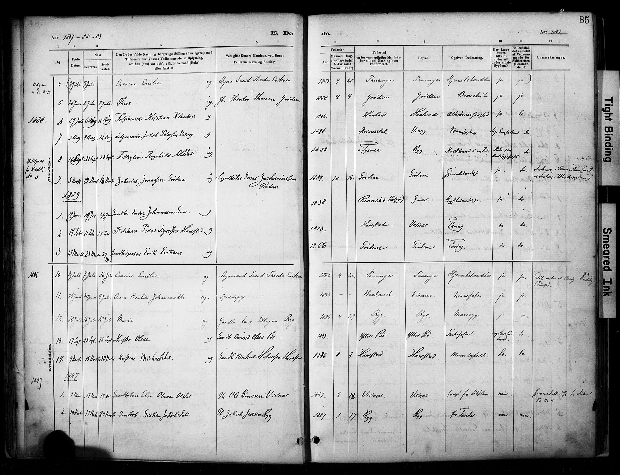Hetland sokneprestkontor, SAST/A-101826/30/30BA/L0009: Parish register (official) no. A 9, 1882-1918, p. 85