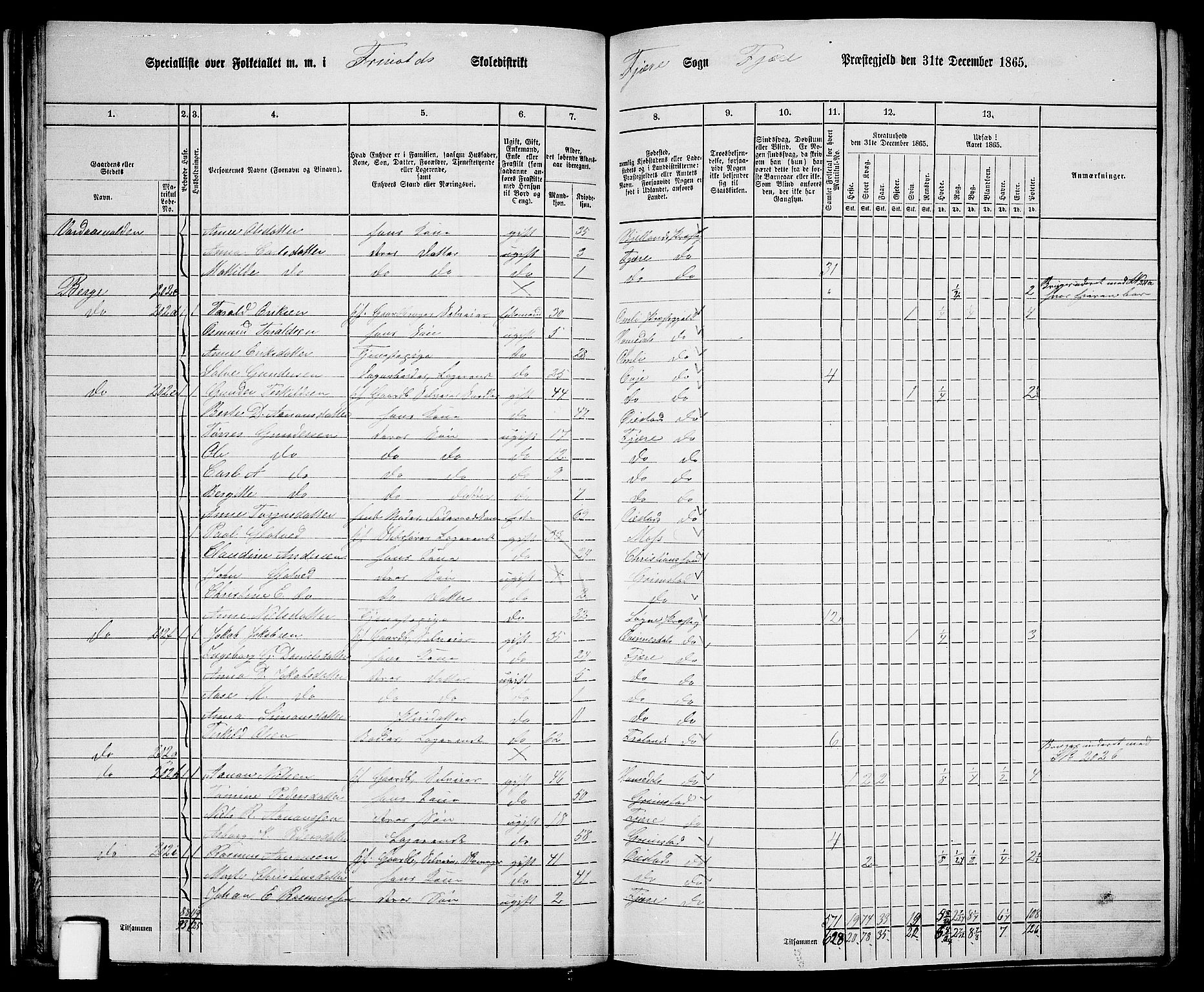 RA, 1865 census for Fjære/Fjære, 1865, p. 34