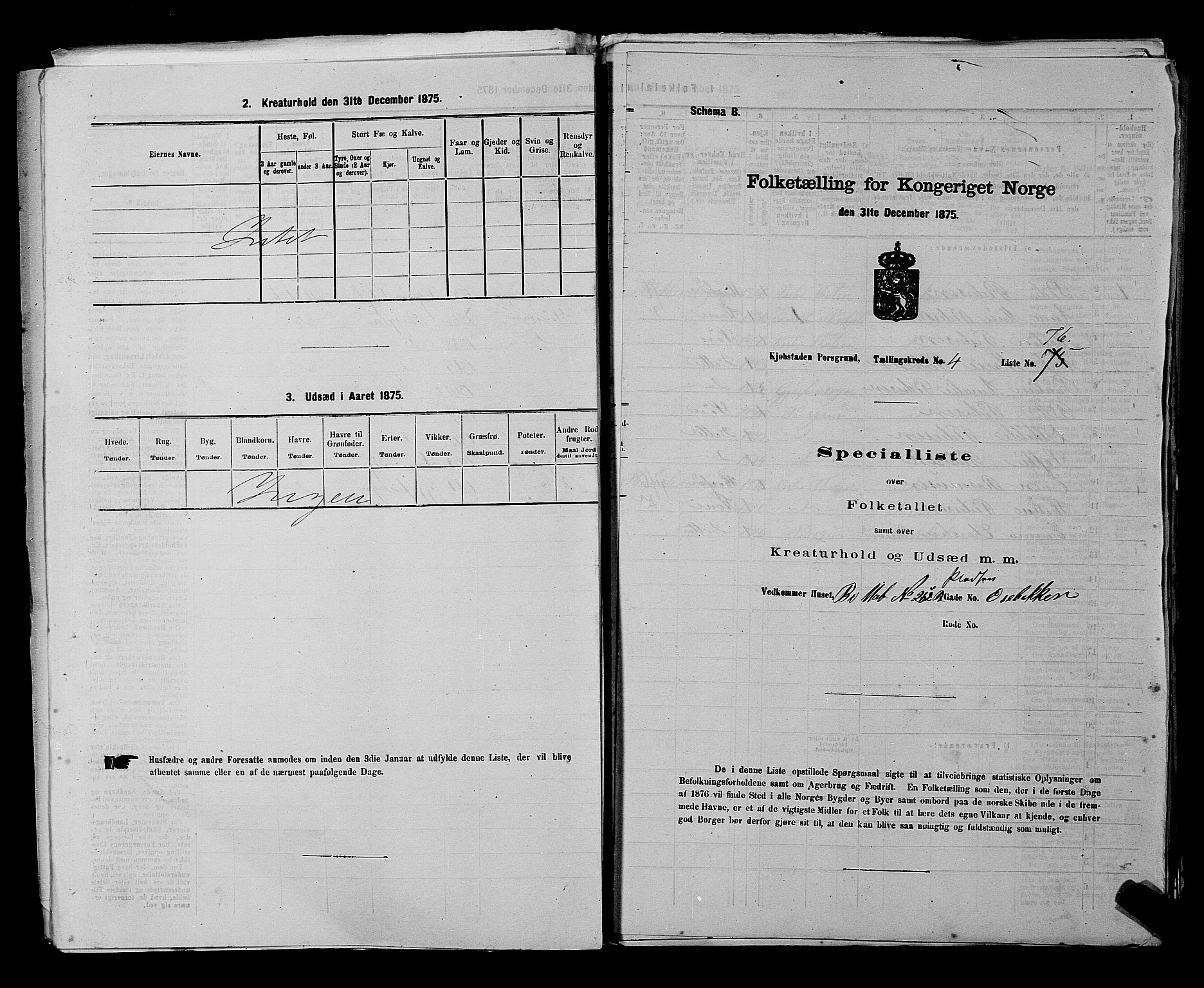 SAKO, 1875 census for 0805P Porsgrunn, 1875, p. 192