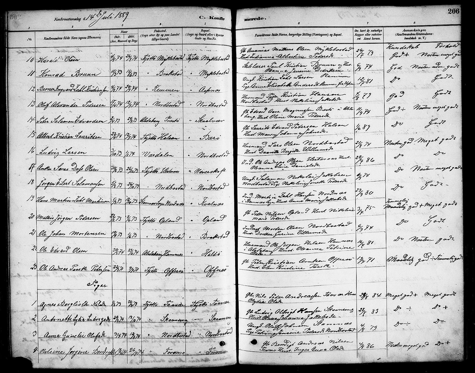 Ministerialprotokoller, klokkerbøker og fødselsregistre - Nordland, AV/SAT-A-1459/817/L0268: Parish register (copy) no. 817C03, 1884-1920, p. 206