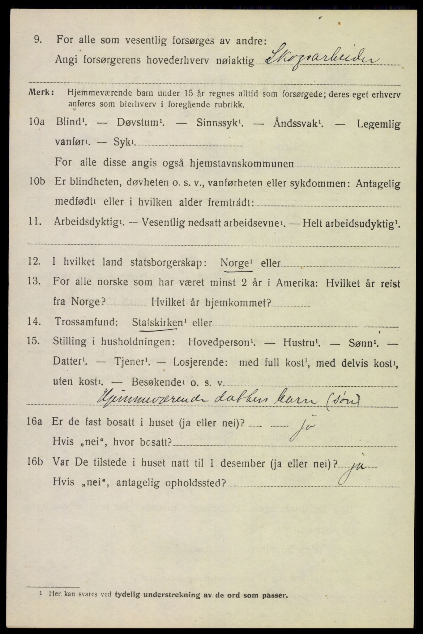 SAH, 1920 census for Vang (Hedmark), 1920, p. 17546