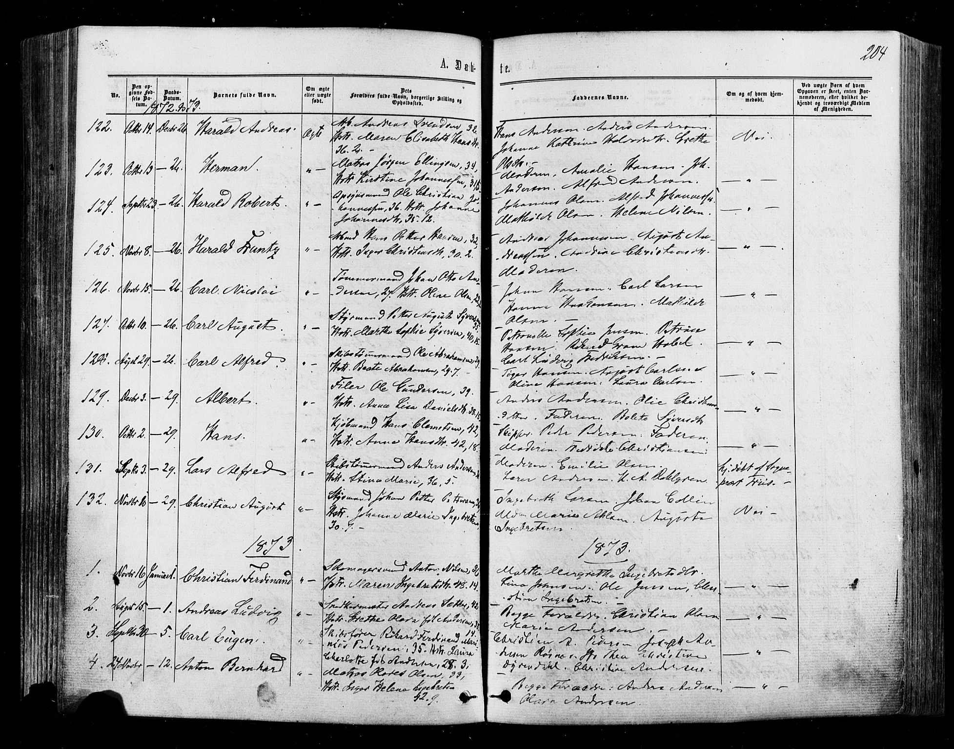 Halden prestekontor Kirkebøker, SAO/A-10909/F/Fa/L0009: Parish register (official) no. I 9, 1866-1877, p. 204