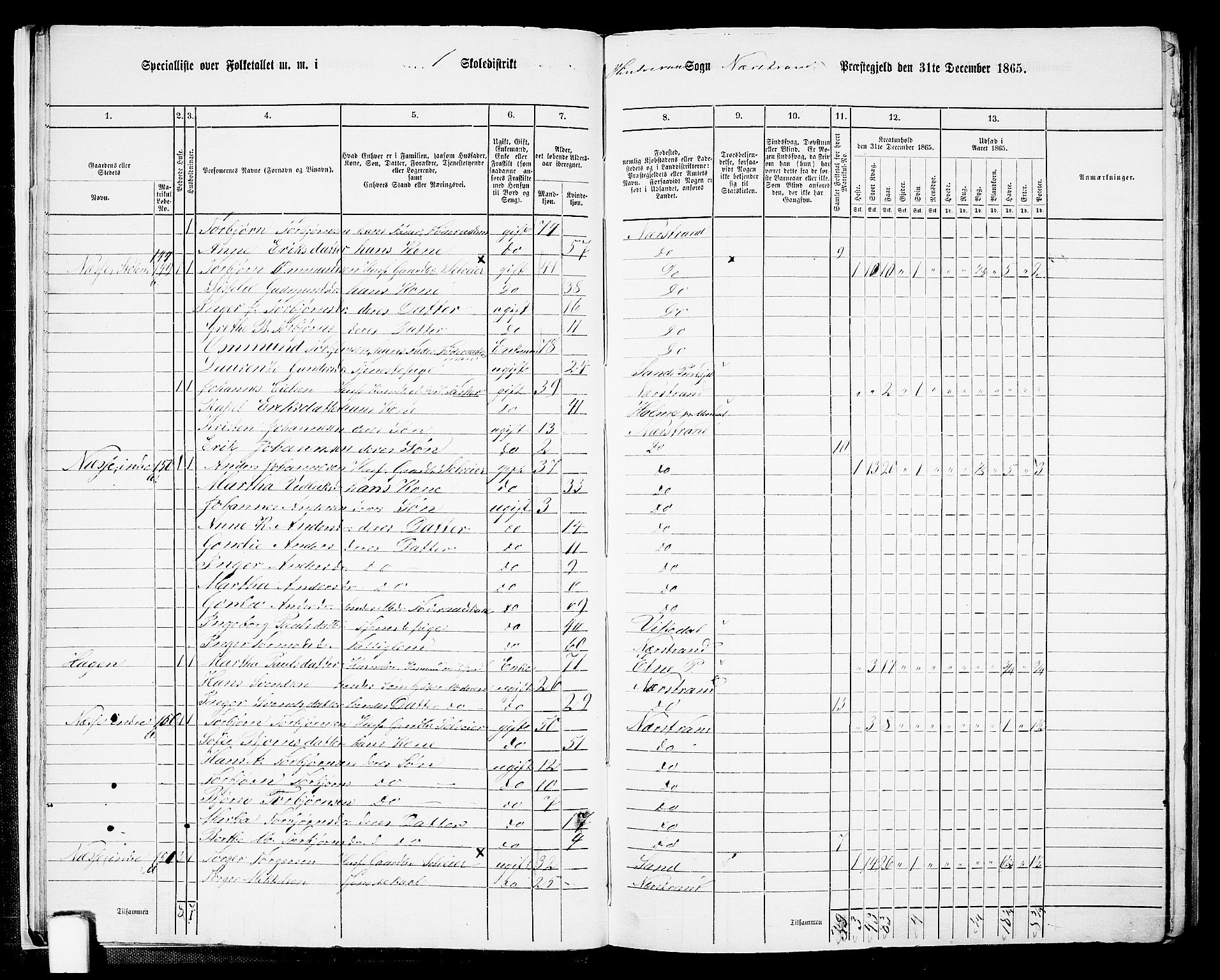 RA, 1865 census for Nedstrand, 1865, p. 18