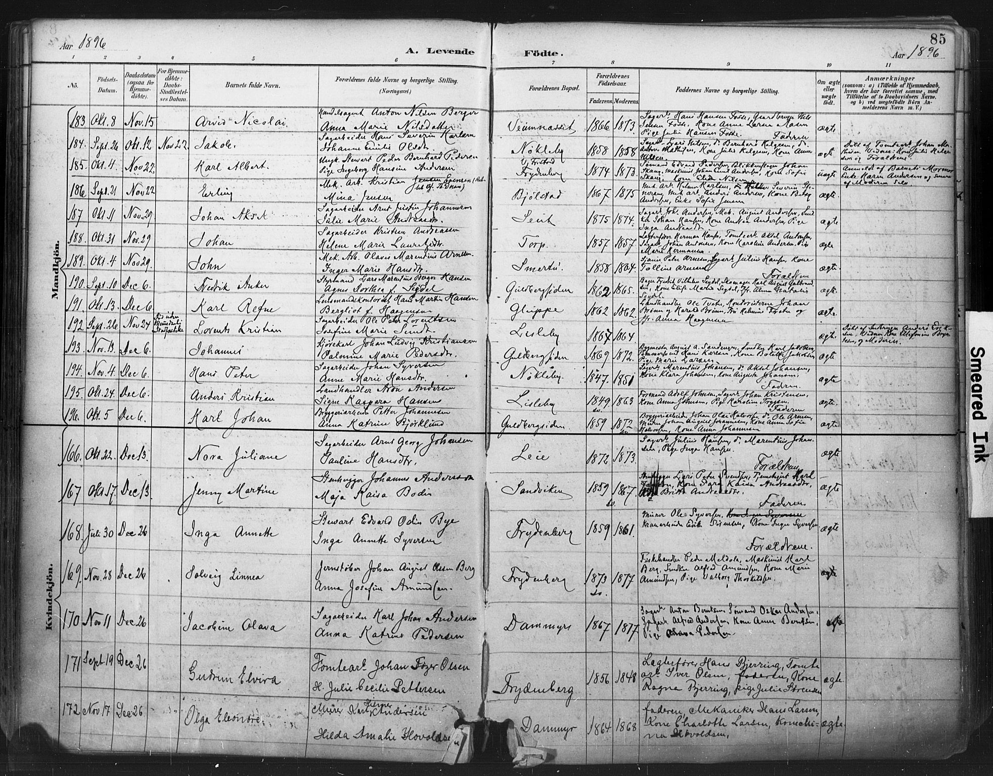 Glemmen prestekontor Kirkebøker, SAO/A-10908/F/Fa/L0013: Parish register (official) no. 13, 1892-1907, p. 85