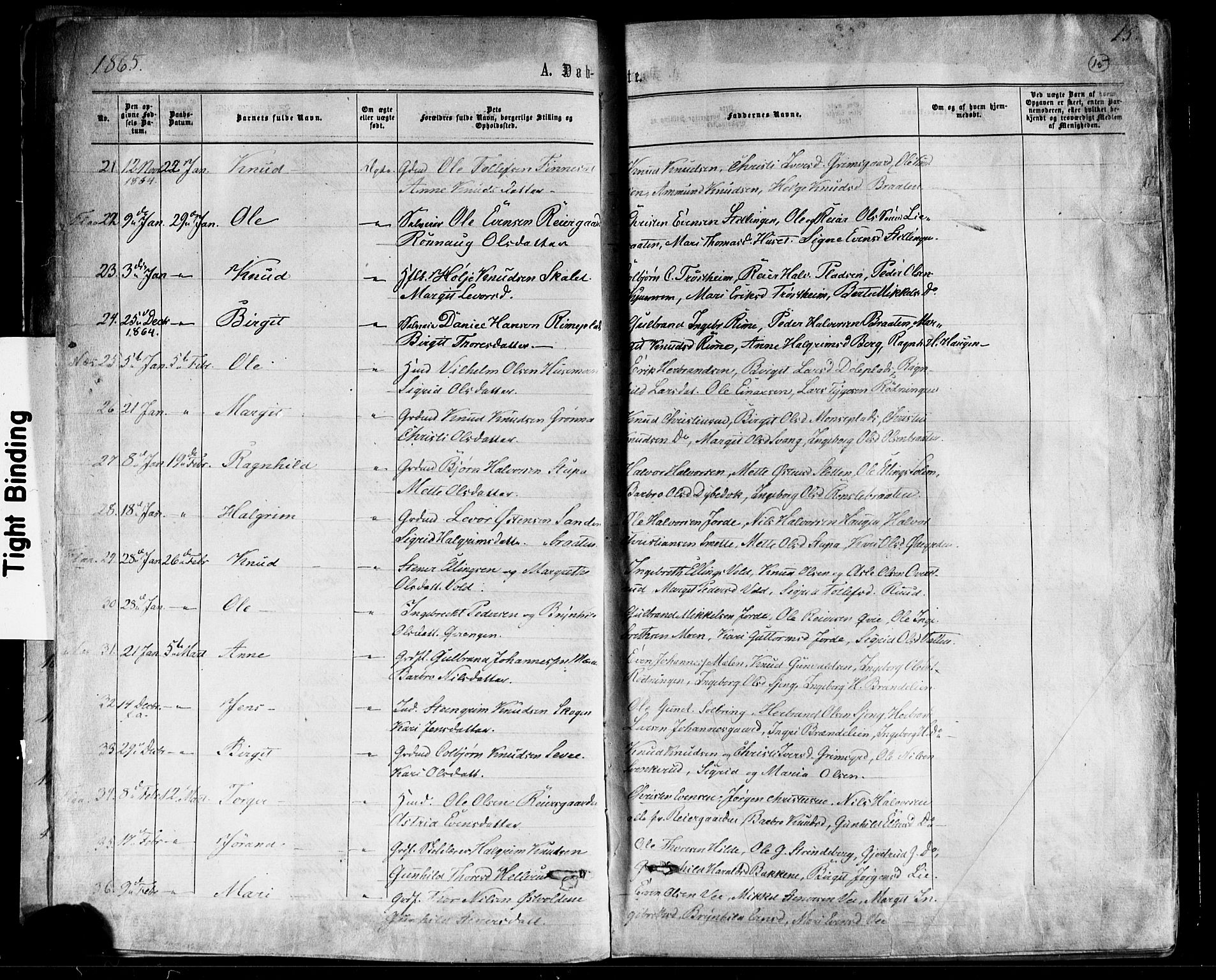 Nes kirkebøker, AV/SAKO-A-236/F/Fa/L0010: Parish register (official) no. 10, 1864-1880, p. 15