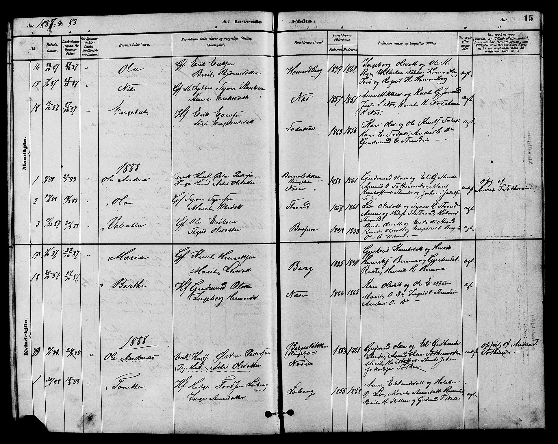 Nord-Aurdal prestekontor, SAH/PREST-132/H/Ha/Hab/L0007: Parish register (copy) no. 7, 1883-1910, p. 15