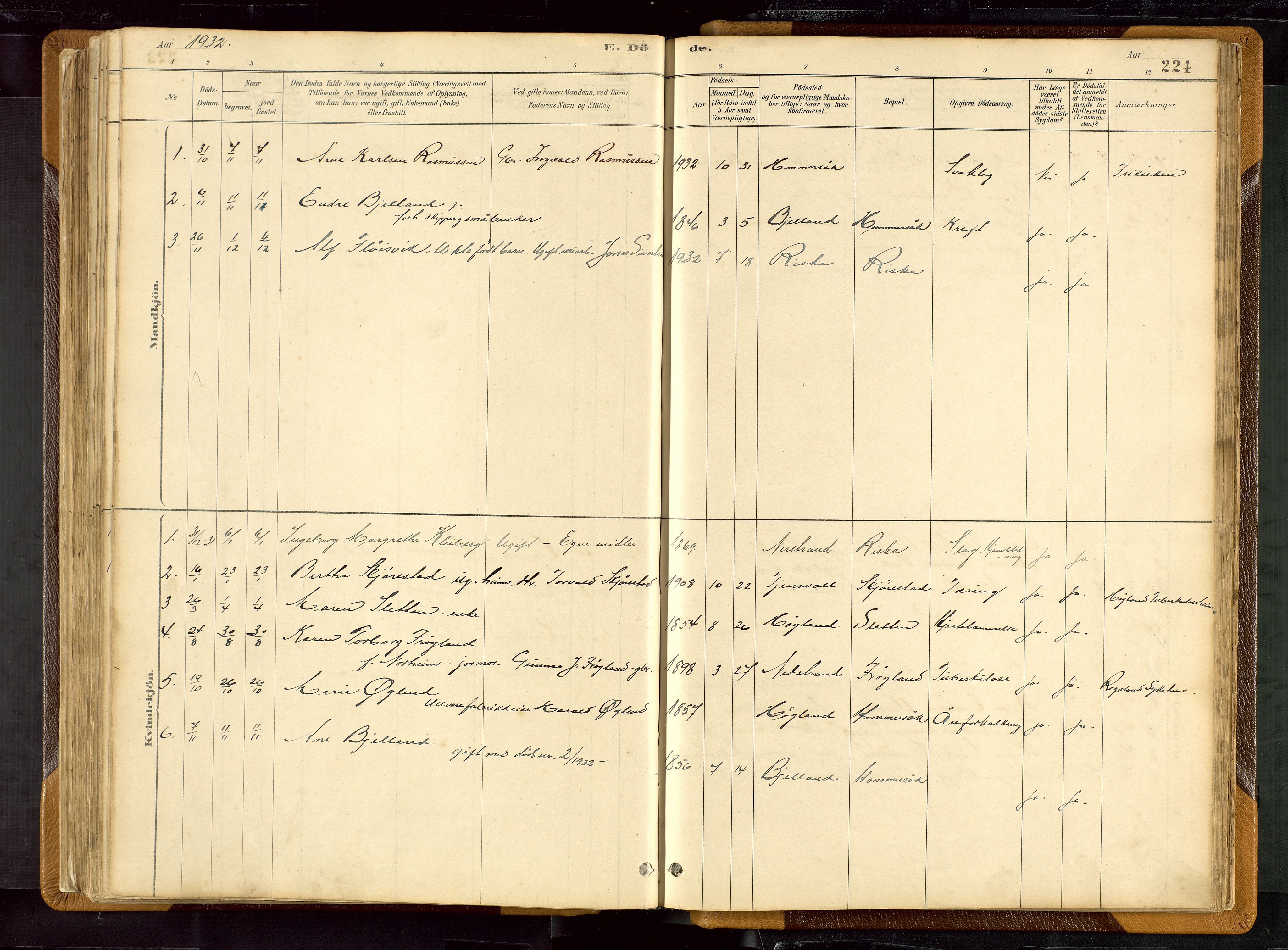 Hetland sokneprestkontor, SAST/A-101826/30/30BB/L0007: Parish register (copy) no. B 7, 1878-1910, p. 224