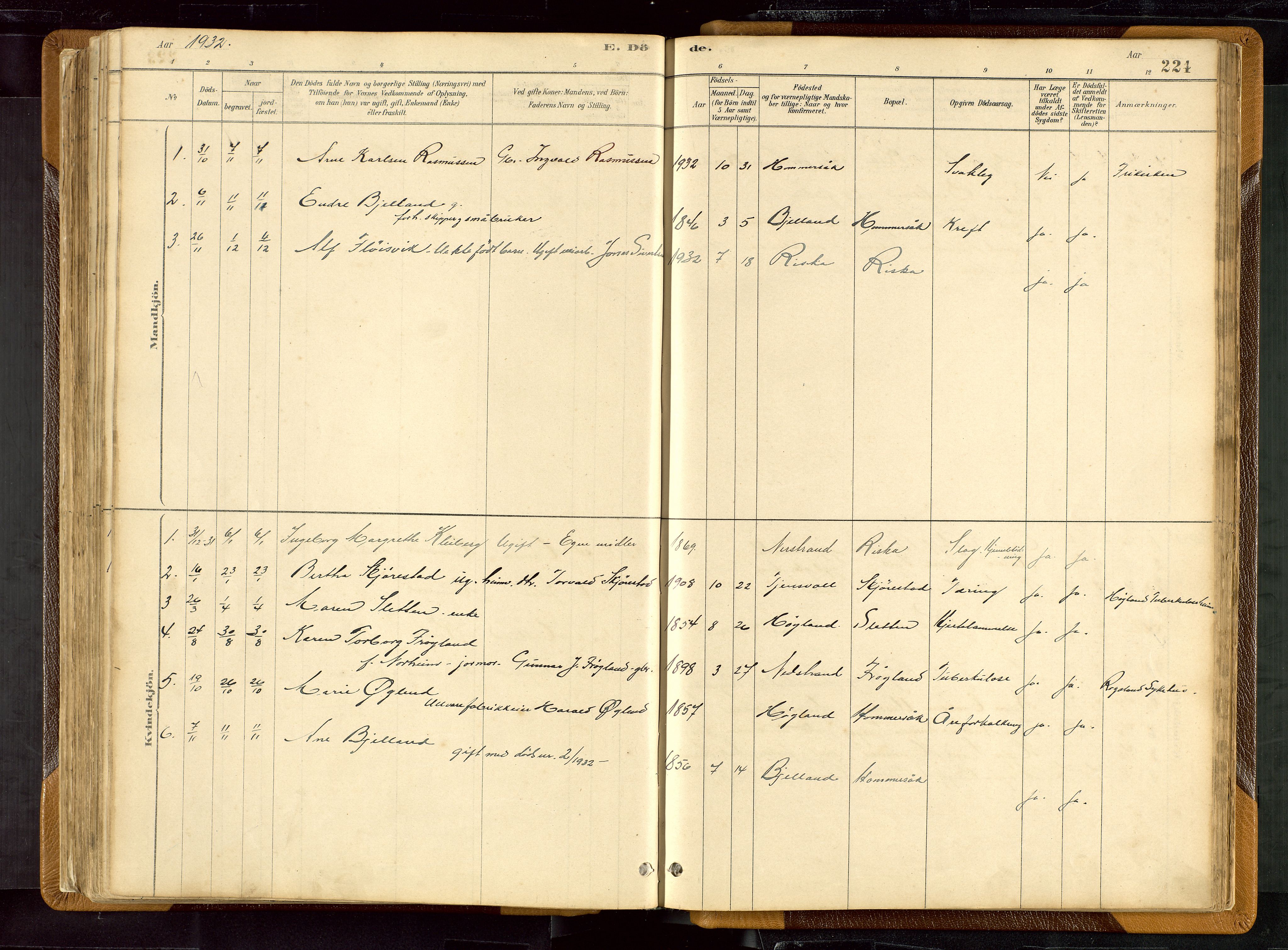 Hetland sokneprestkontor, AV/SAST-A-101826/30/30BB/L0007: Parish register (copy) no. B 7, 1878-1910, p. 224