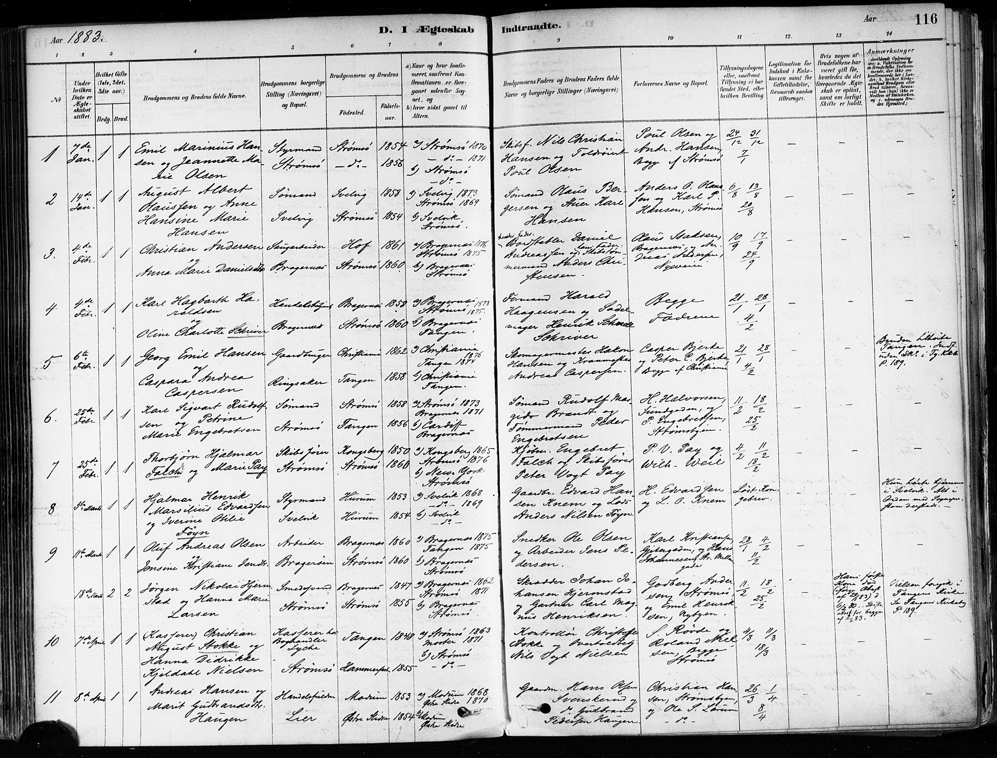 Strømsø kirkebøker, AV/SAKO-A-246/F/Fa/L0022: Parish register (official) no. I 22, 1879-1899, p. 116