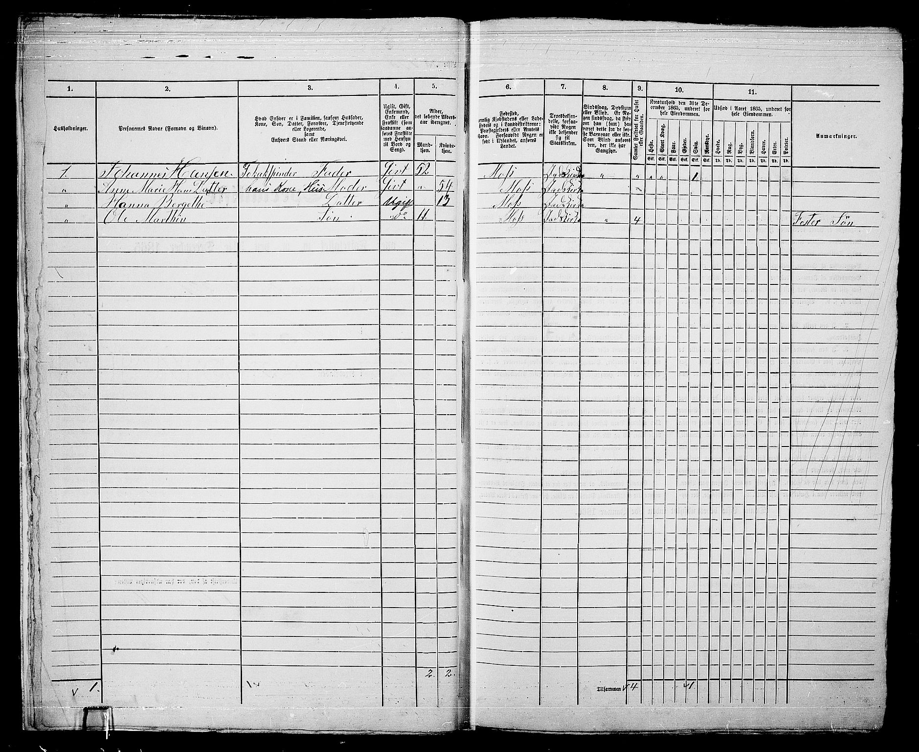 RA, 1865 census for Moss/Moss, 1865, p. 362