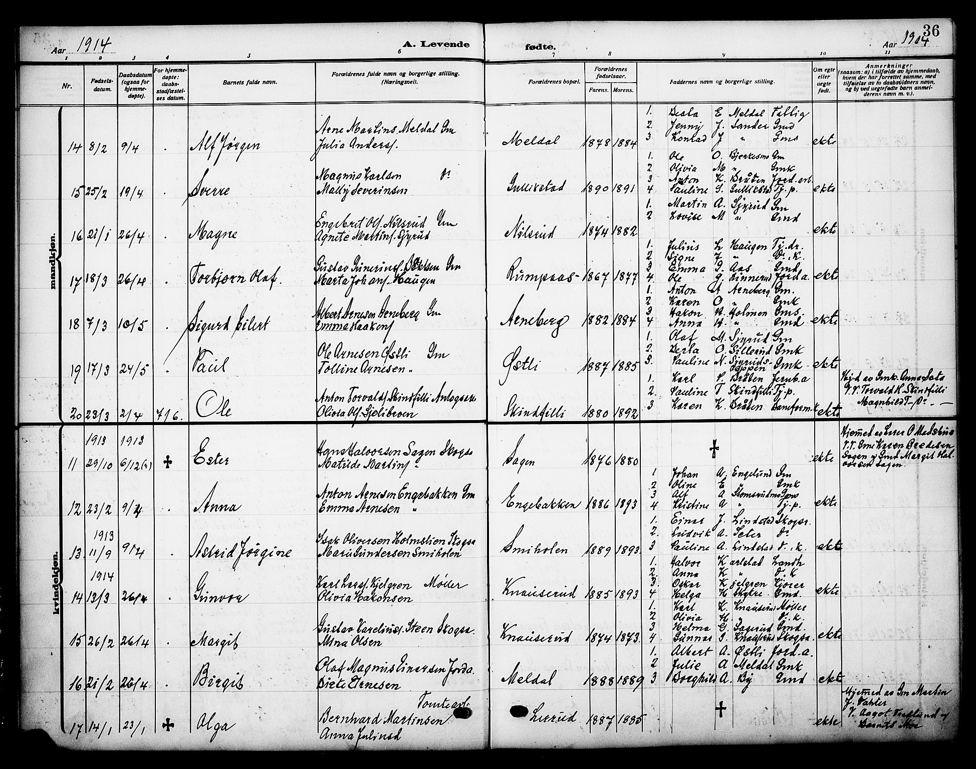 Grue prestekontor, AV/SAH-PREST-036/H/Ha/Haa/L0015: Parish register (official) no. 15, 1911-1922, p. 36