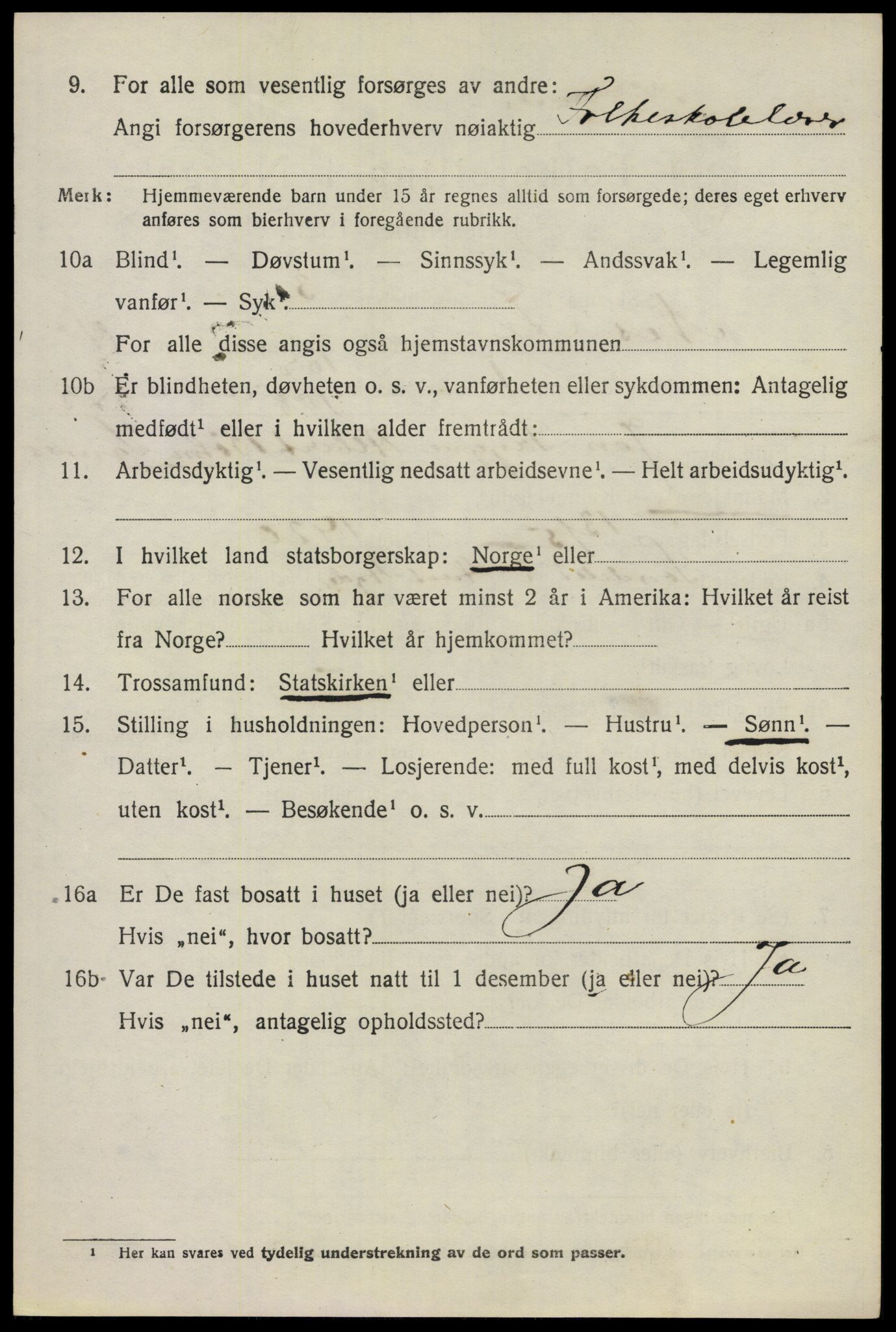 SAO, 1920 census for Nes, 1920, p. 11393