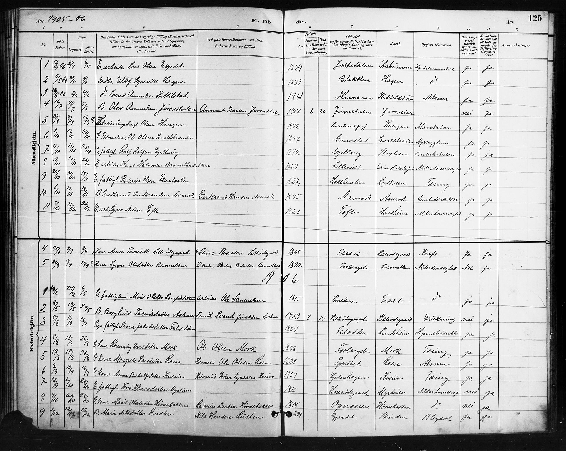 Skjåk prestekontor, SAH/PREST-072/H/Ha/Hab/L0004: Parish register (copy) no. 4, 1895-1921, p. 125