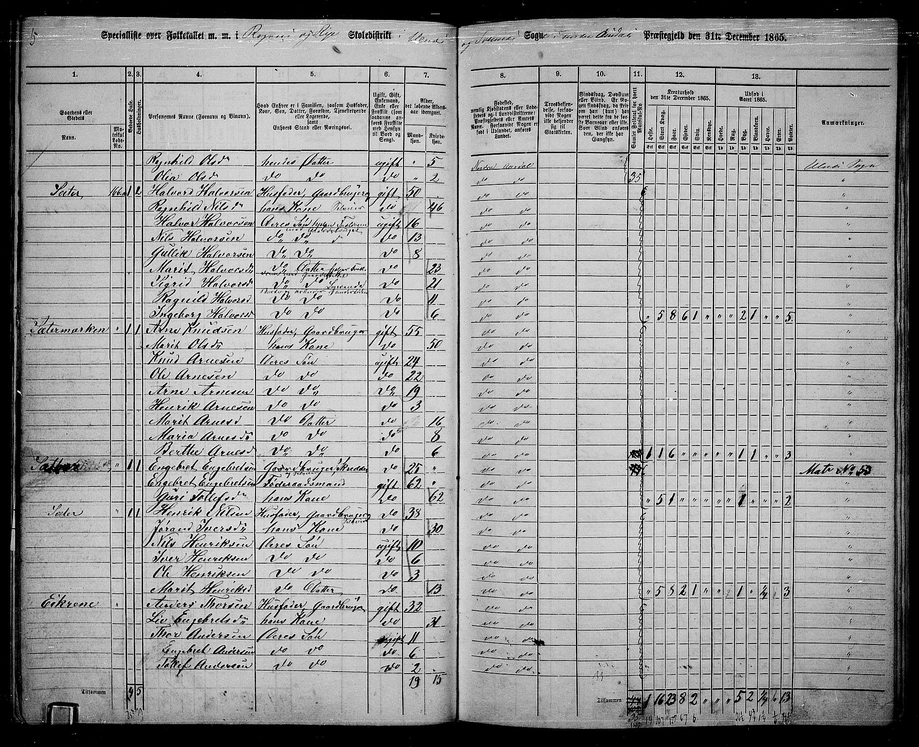 RA, 1865 census for Nord-Aurdal, 1865, p. 136