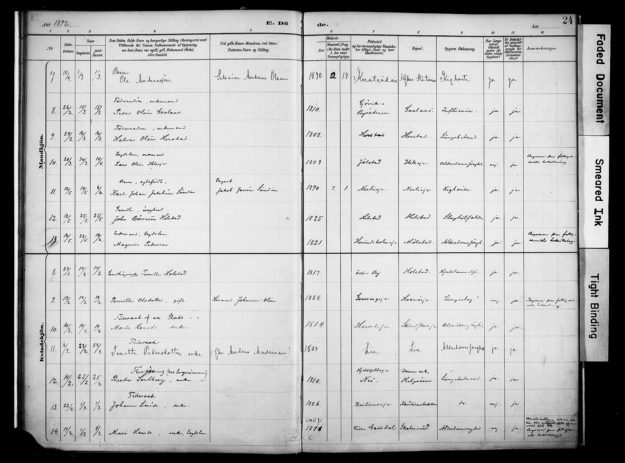 Nes prestekontor, Hedmark, AV/SAH-PREST-020/K/Ka/L0011: Parish register (official) no. 11, 1887-1905, p. 24