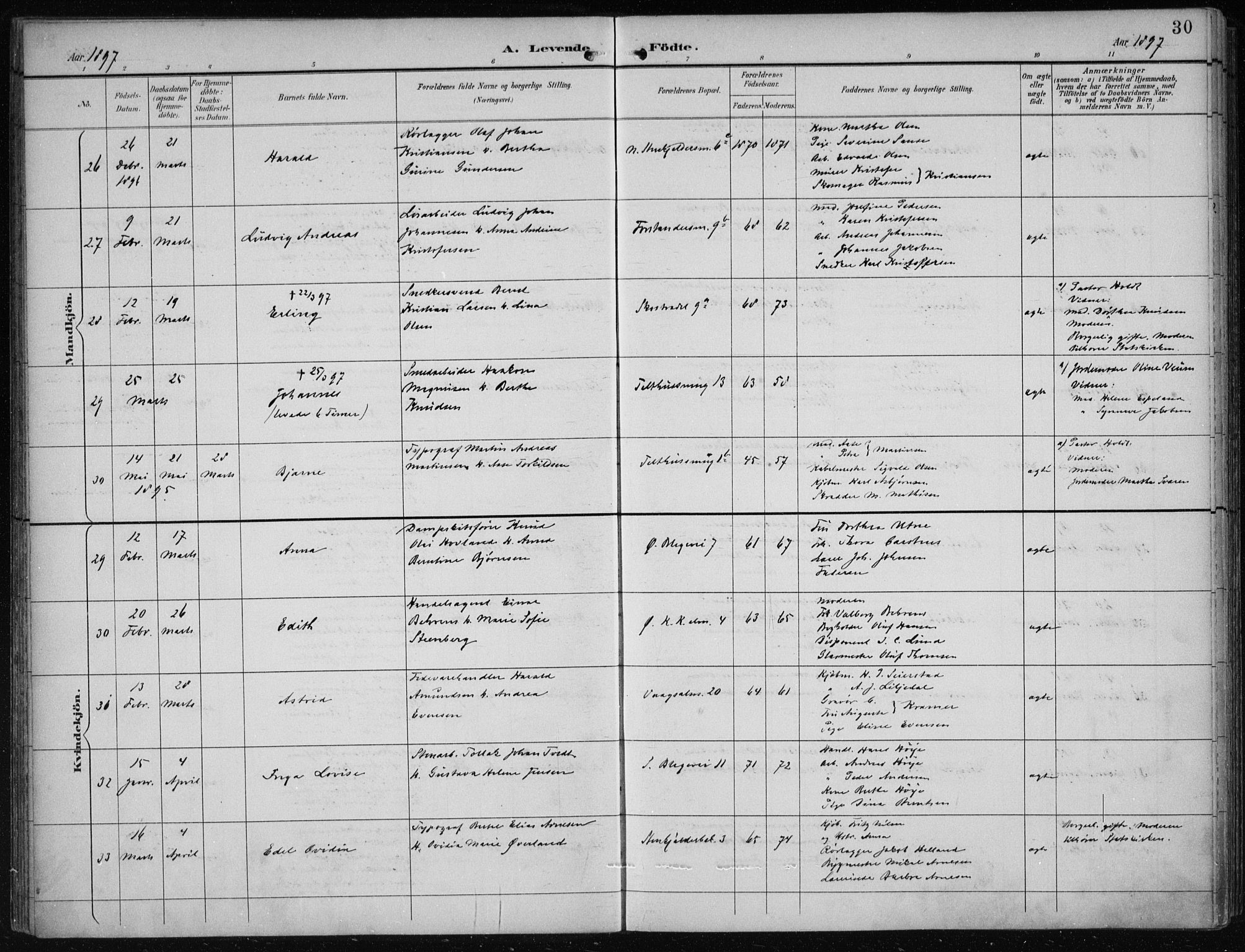 Korskirken sokneprestembete, AV/SAB-A-76101/H/Hab: Parish register (copy) no. B 10, 1896-1905, p. 30