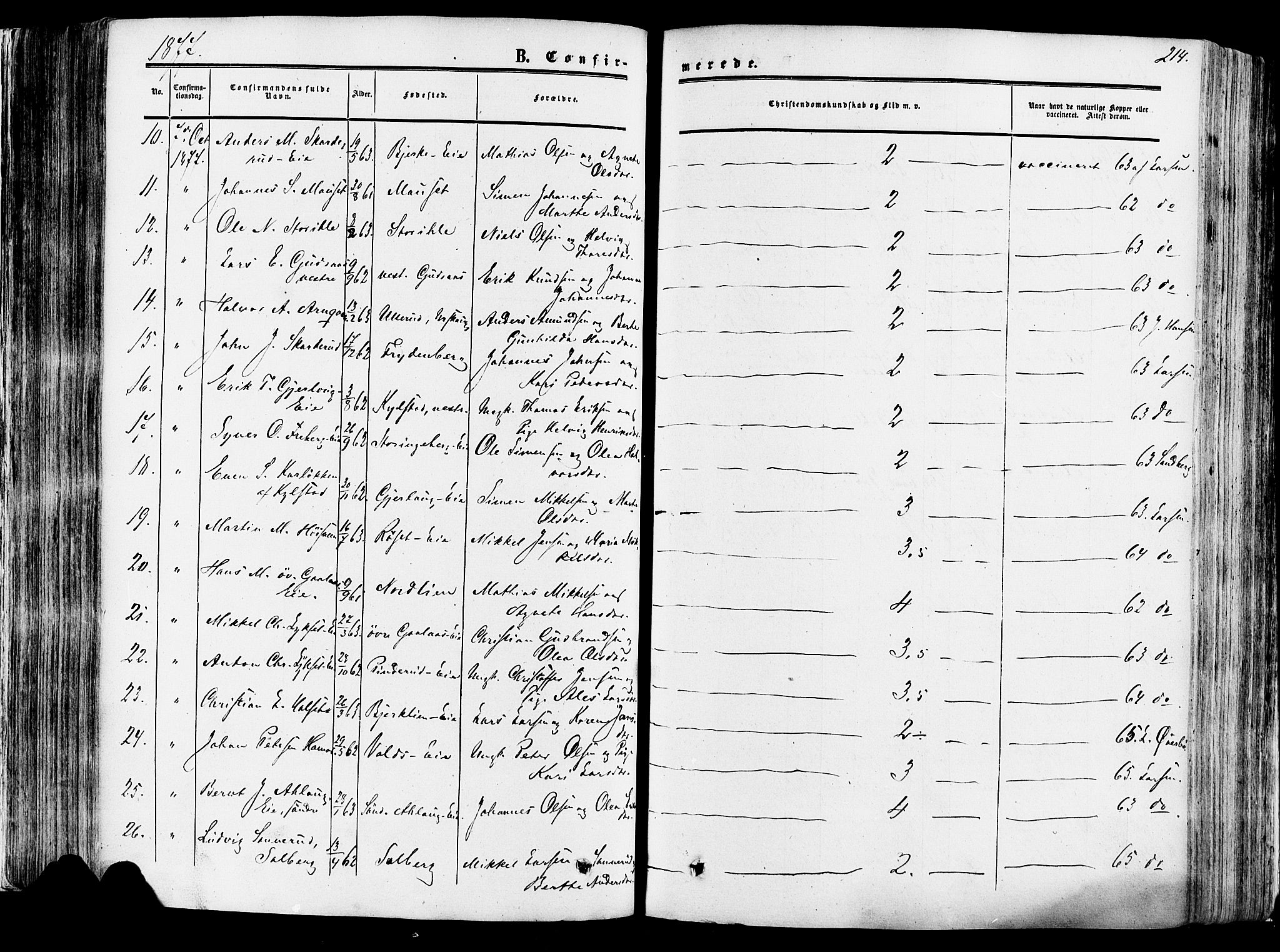 Vang prestekontor, Hedmark, AV/SAH-PREST-008/H/Ha/Haa/L0013: Parish register (official) no. 13, 1855-1879, p. 214