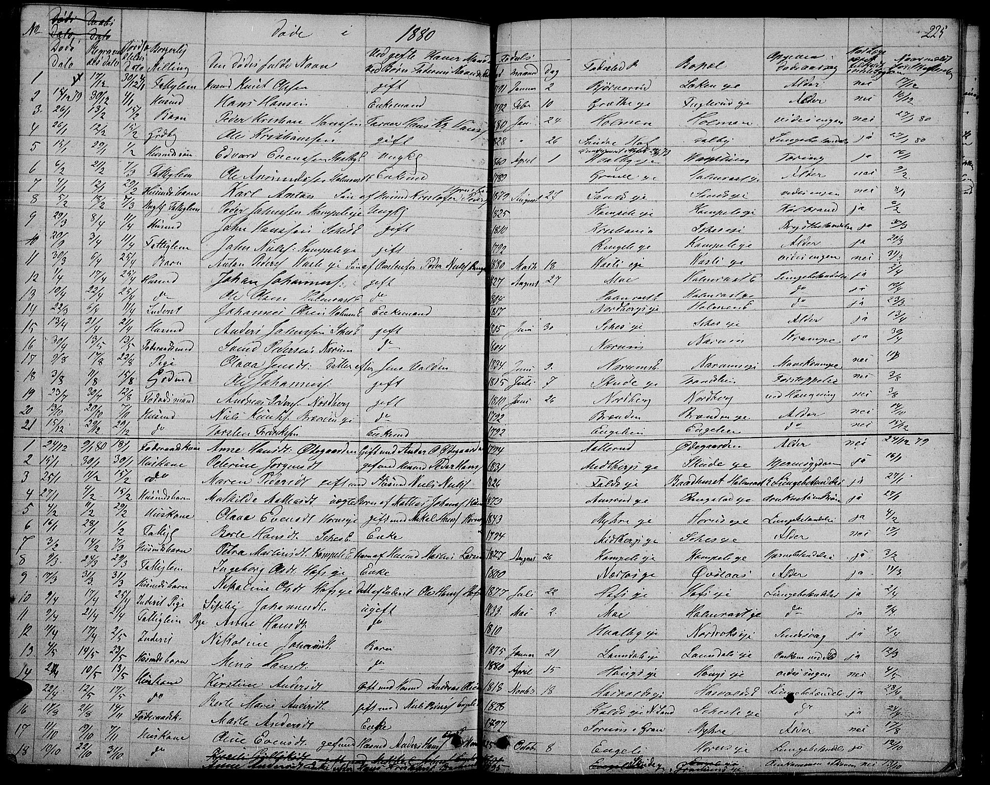 Søndre Land prestekontor, SAH/PREST-122/L/L0001: Parish register (copy) no. 1, 1849-1883, p. 225
