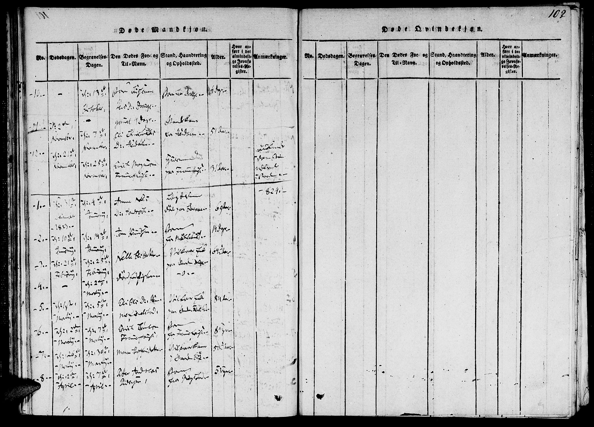 Ministerialprotokoller, klokkerbøker og fødselsregistre - Møre og Romsdal, AV/SAT-A-1454/520/L0273: Parish register (official) no. 520A03, 1817-1826, p. 102