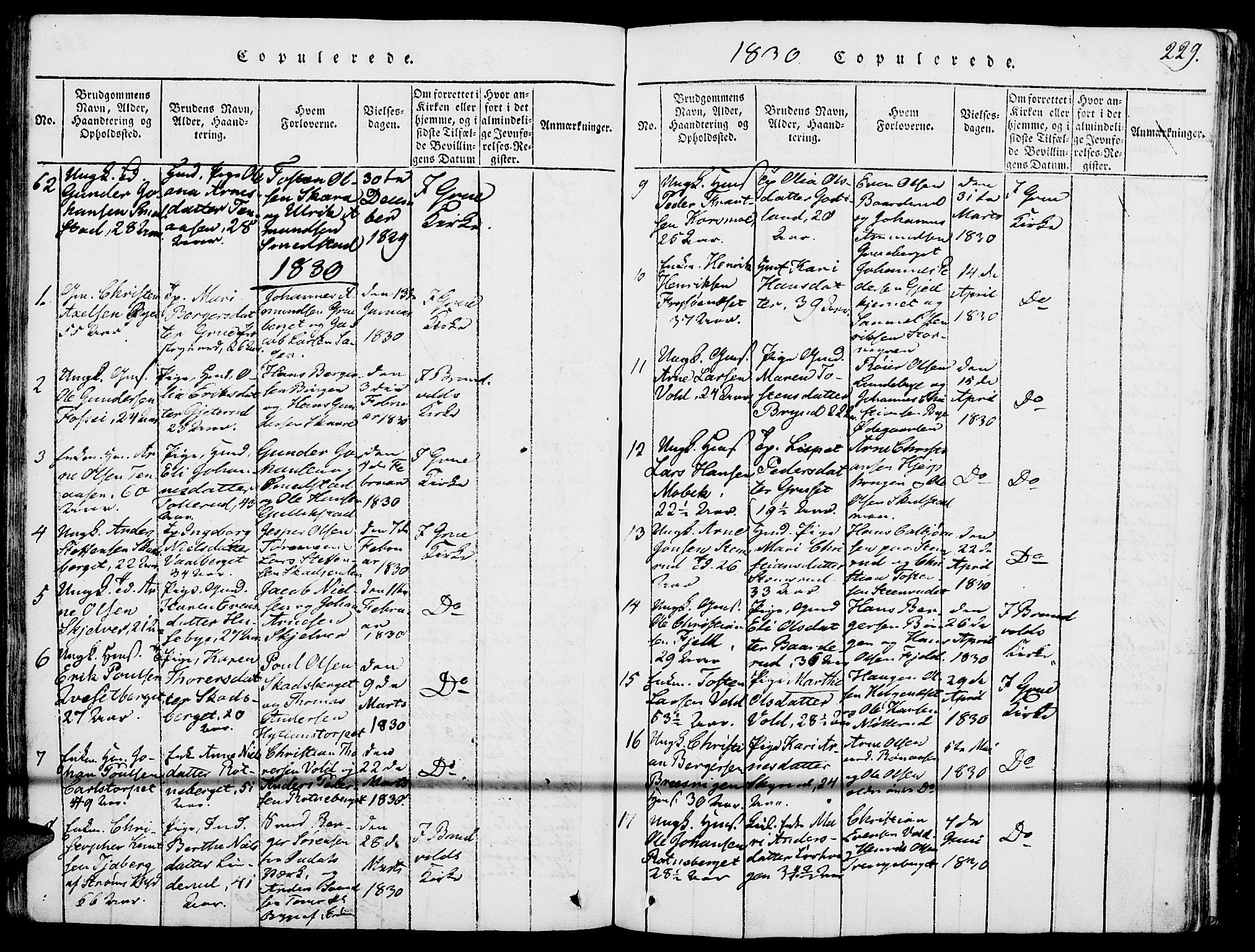 Grue prestekontor, AV/SAH-PREST-036/H/Ha/Haa/L0006: Parish register (official) no. 6, 1814-1830, p. 229