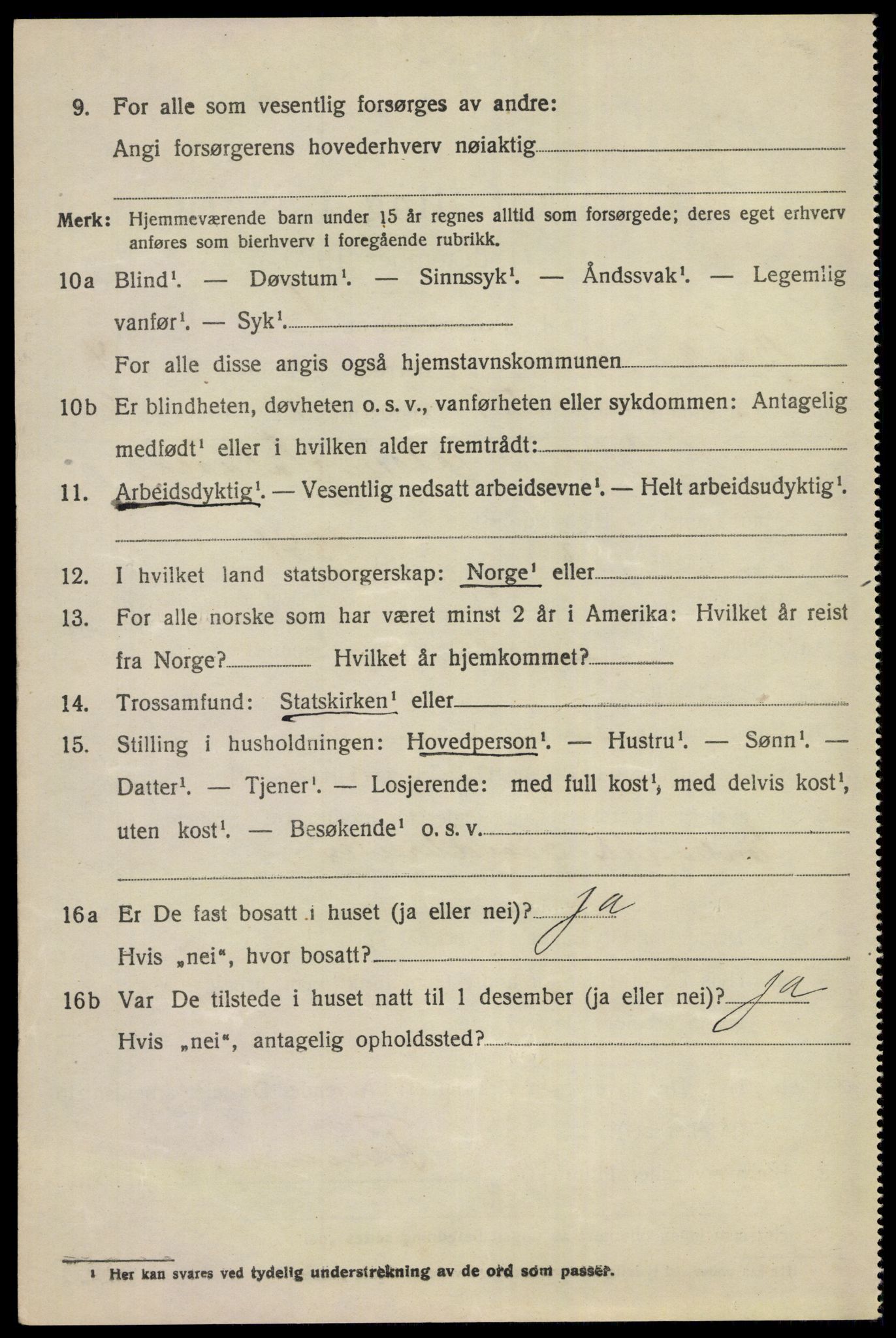 SAKO, 1920 census for Ål, 1920, p. 3867