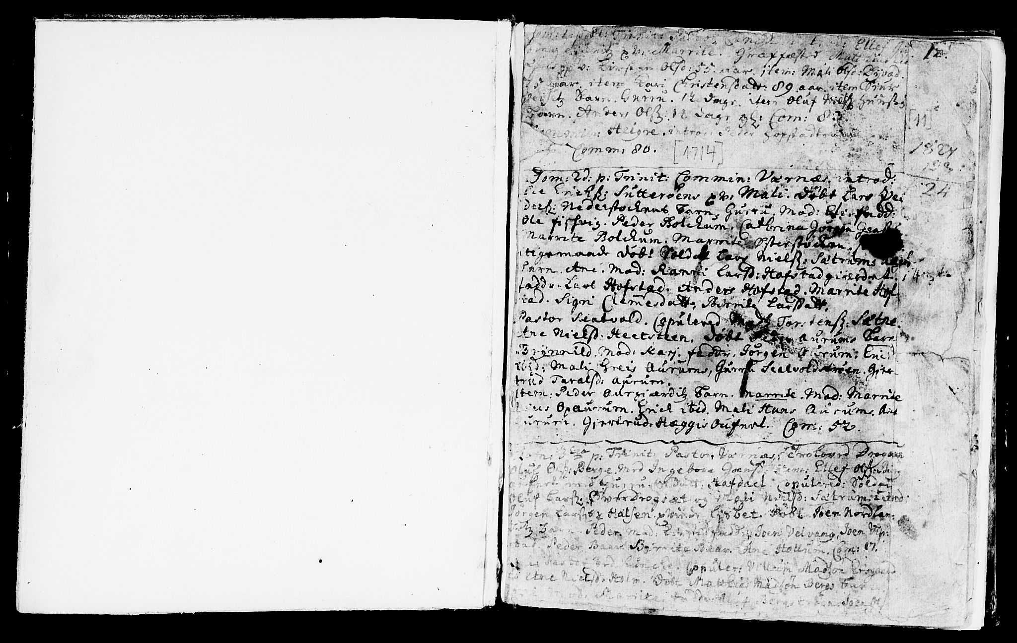 Ministerialprotokoller, klokkerbøker og fødselsregistre - Nord-Trøndelag, SAT/A-1458/709/L0054: Parish register (official) no. 709A02, 1714-1738, p. 11