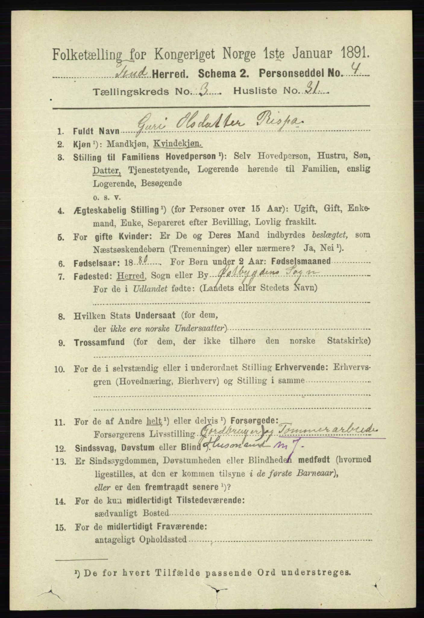 RA, 1891 census for 0826 Tinn, 1891, p. 669