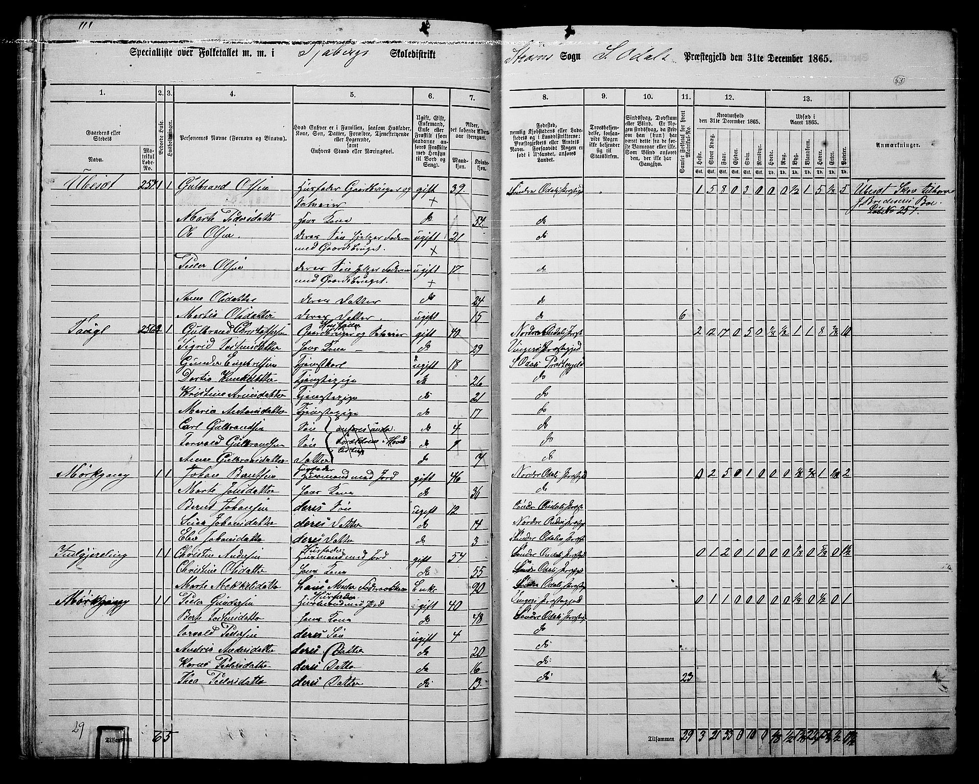 RA, 1865 census for Sør-Odal, 1865, p. 45