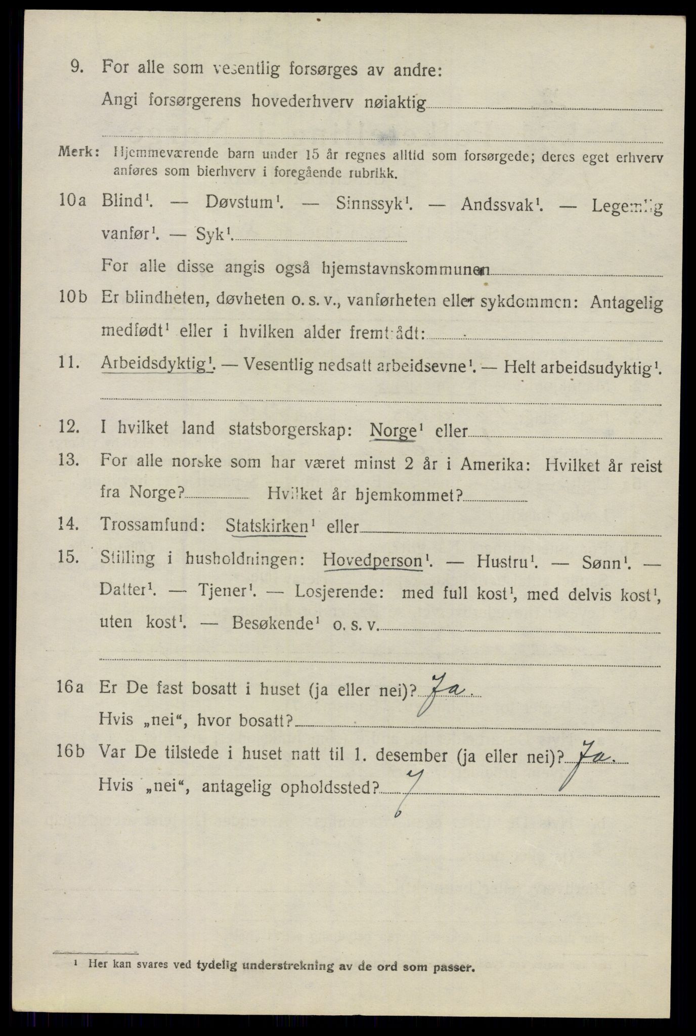 SAO, 1920 census for Nes, 1920, p. 8317