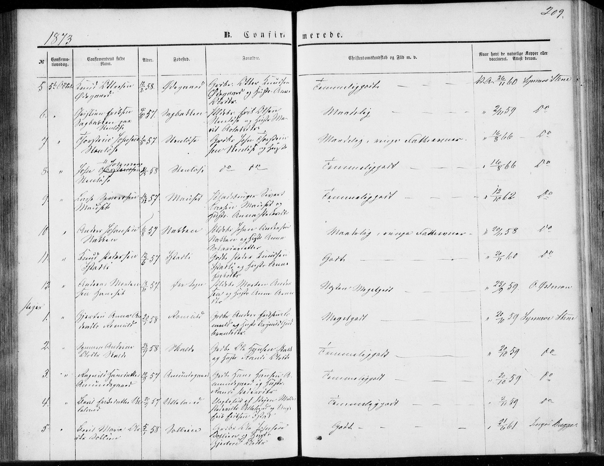 Ministerialprotokoller, klokkerbøker og fødselsregistre - Møre og Romsdal, SAT/A-1454/557/L0681: Parish register (official) no. 557A03, 1869-1886, p. 209