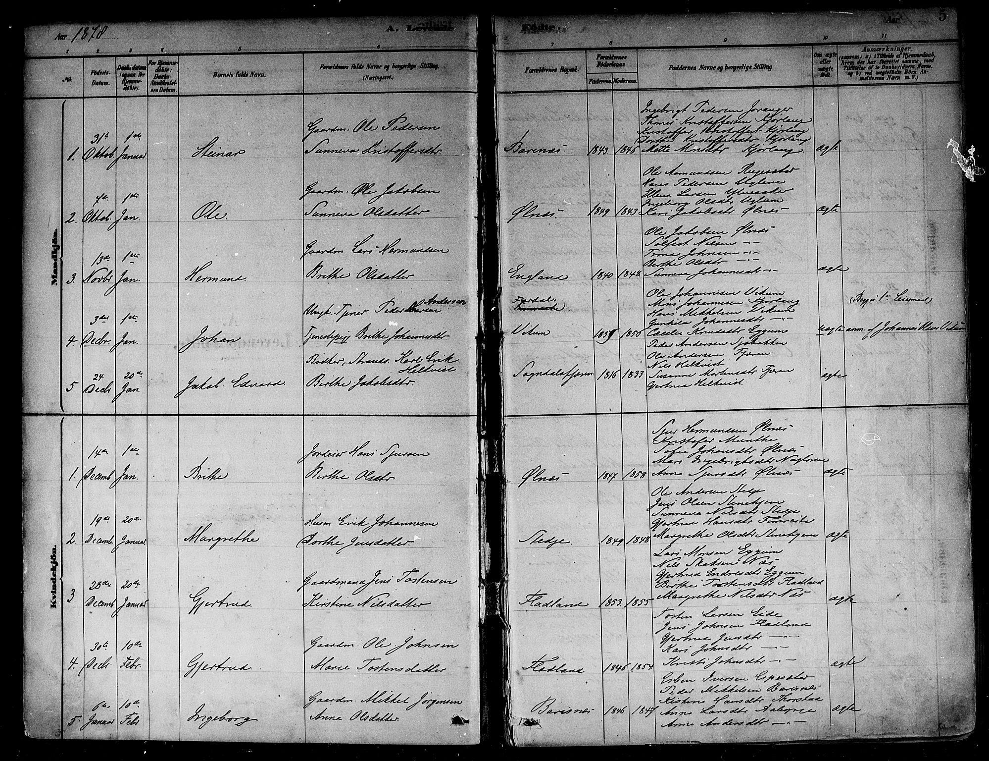 Sogndal sokneprestembete, SAB/A-81301/H/Haa/Haab/L0001: Parish register (official) no. B 1, 1878-1899, p. 5