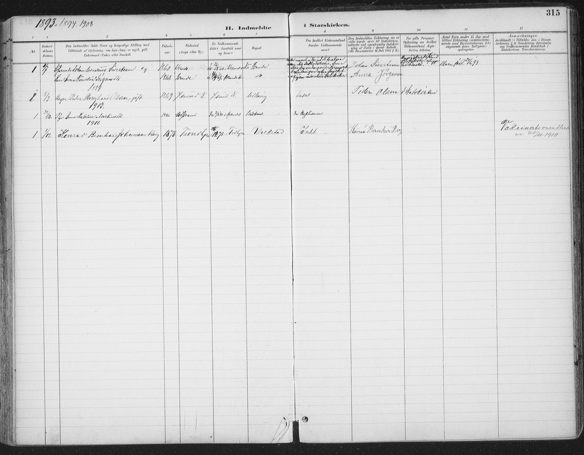Ministerialprotokoller, klokkerbøker og fødselsregistre - Sør-Trøndelag, SAT/A-1456/659/L0743: Parish register (official) no. 659A13, 1893-1910, p. 315