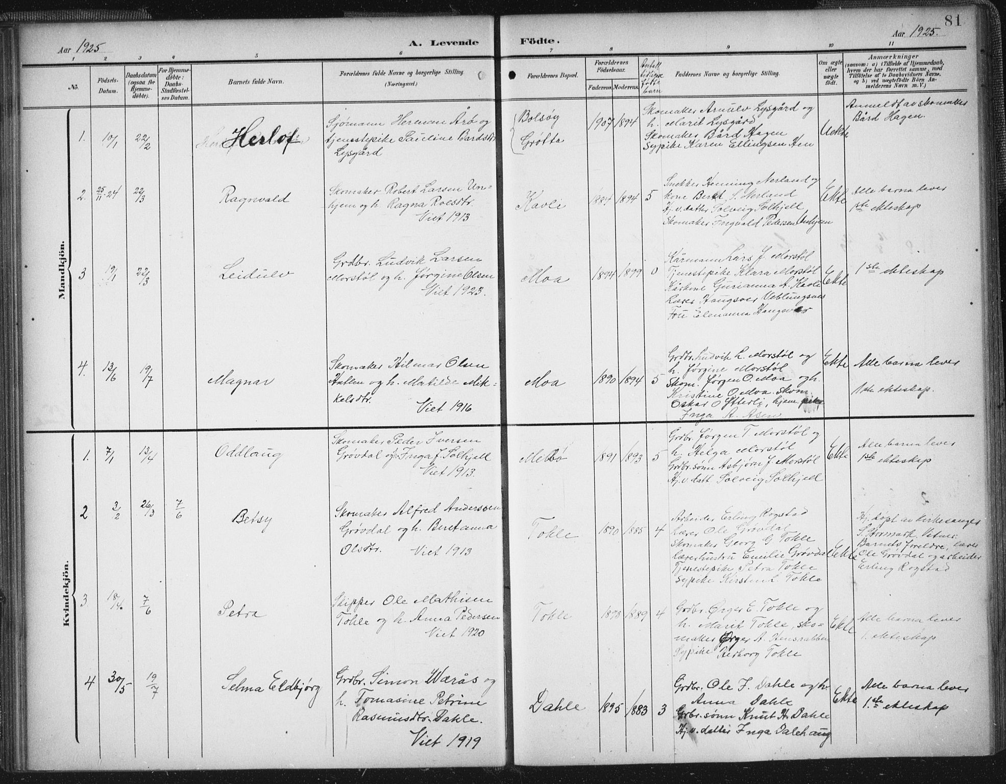 Ministerialprotokoller, klokkerbøker og fødselsregistre - Møre og Romsdal, SAT/A-1454/545/L0589: Parish register (copy) no. 545C03, 1902-1937, p. 81