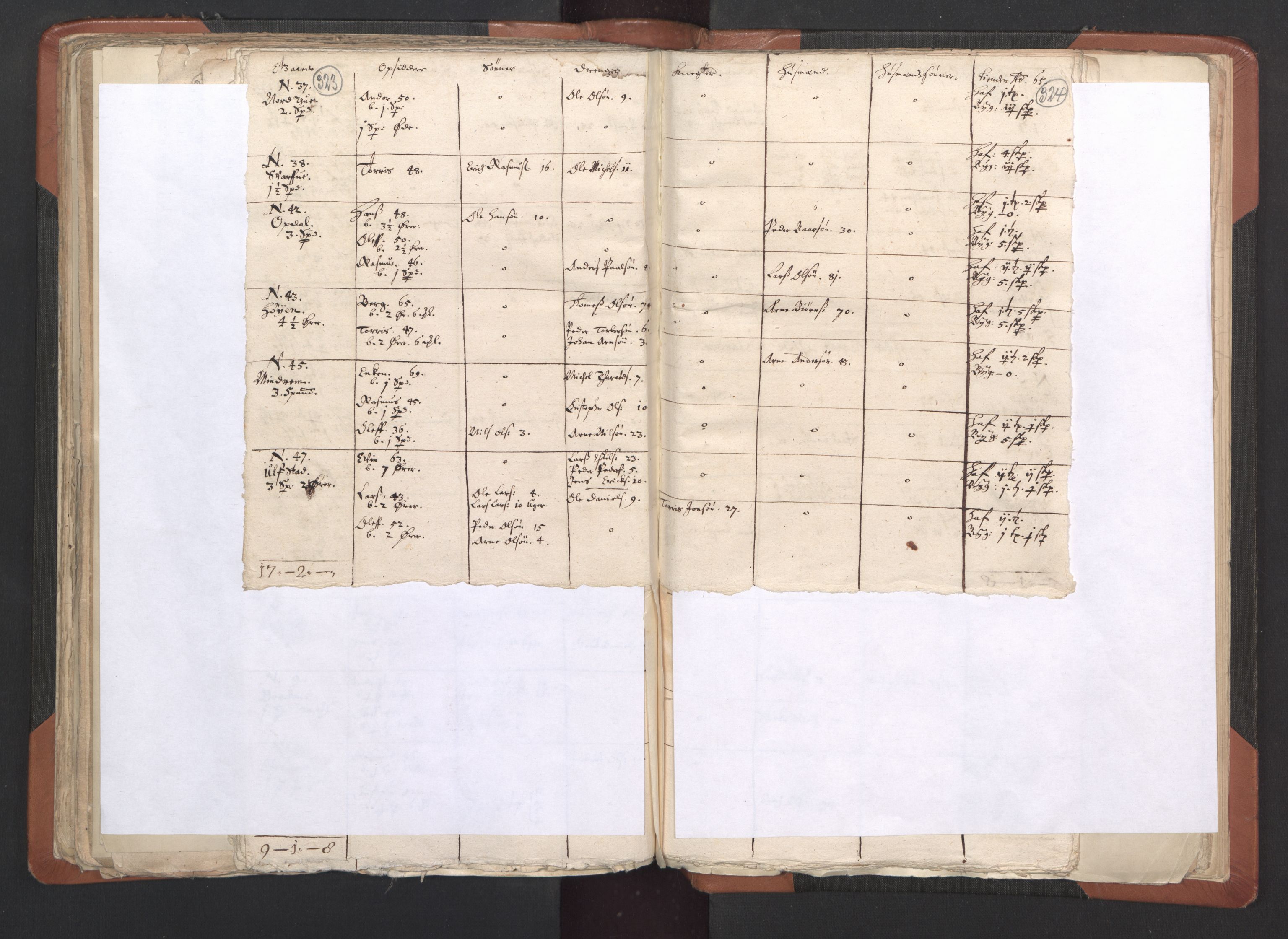 RA, Vicar's Census 1664-1666, no. 33: Innherad deanery, 1664-1666, p. 323-324