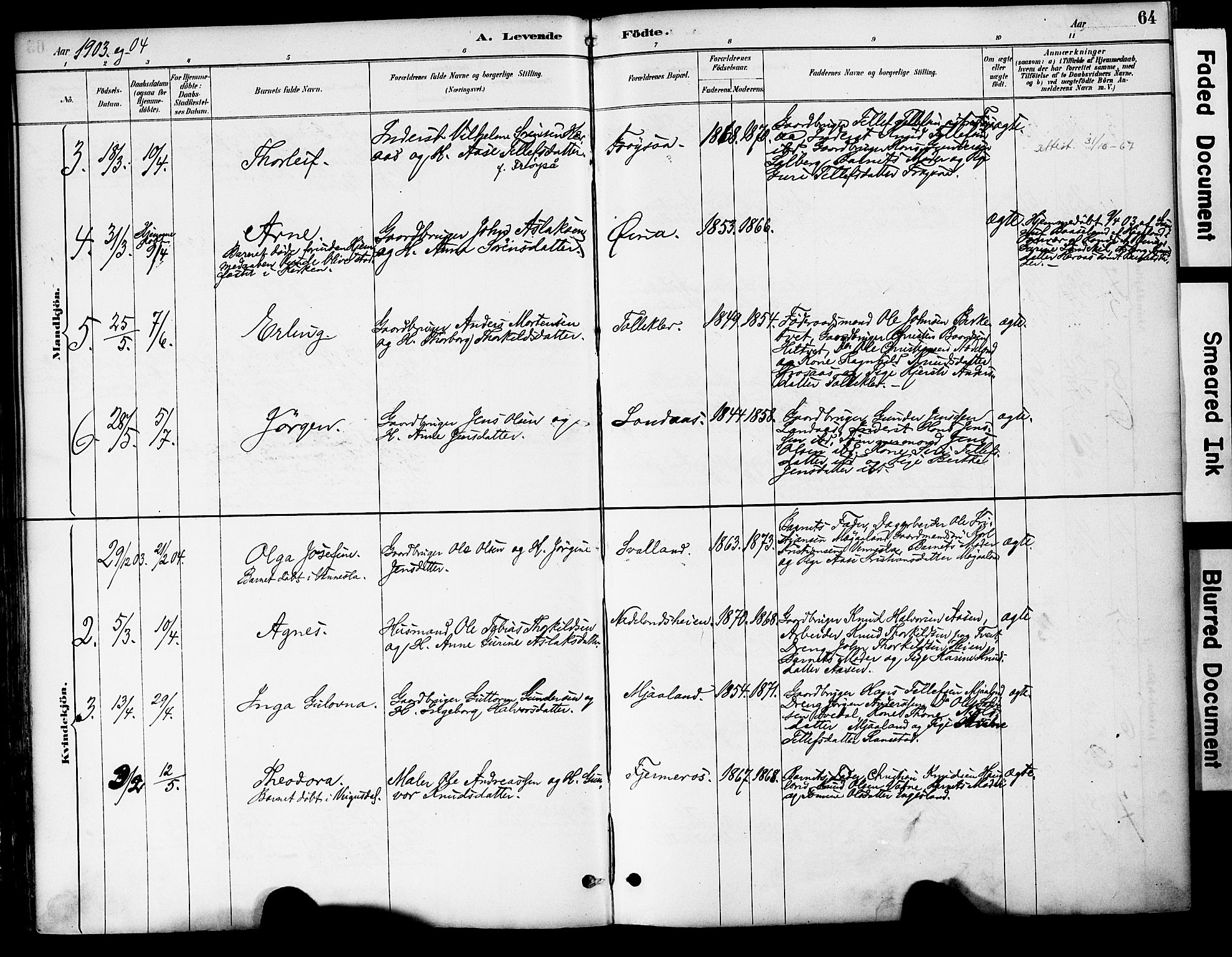 Evje sokneprestkontor, AV/SAK-1111-0008/F/Fa/Fac/L0003: Parish register (official) no. A 3, 1884-1909, p. 64