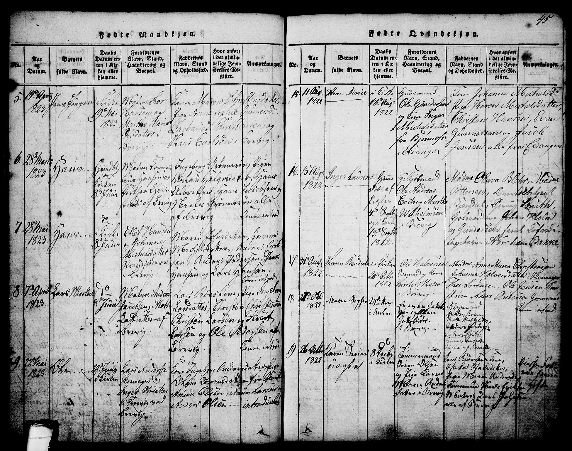 Brevik kirkebøker, SAKO/A-255/G/Ga/L0001: Parish register (copy) no. 1, 1814-1845, p. 45