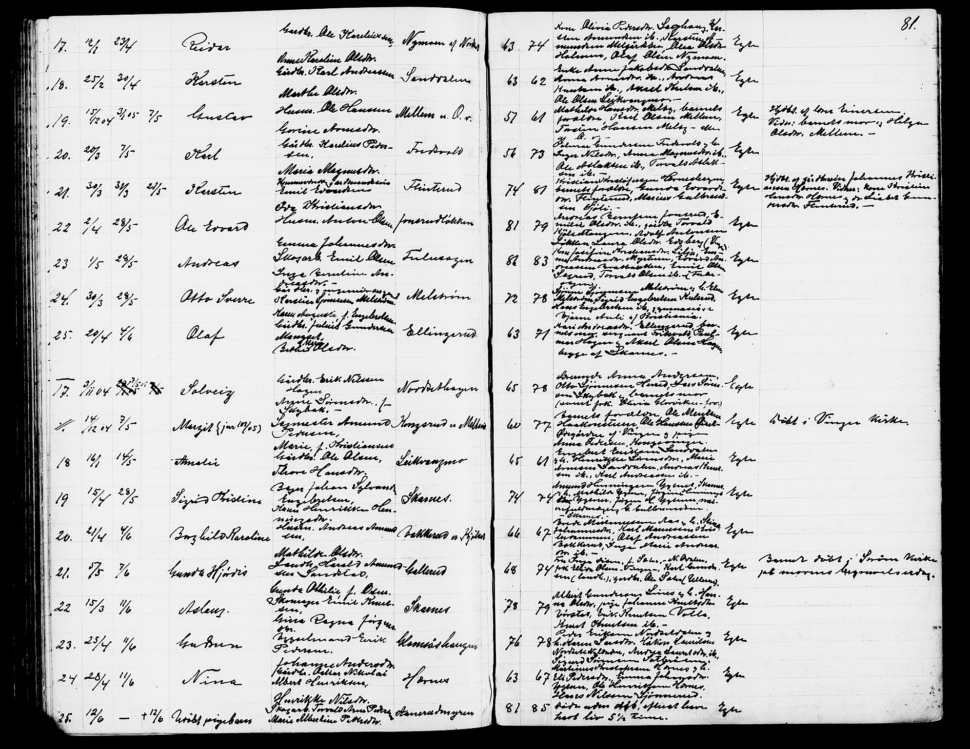 Sør-Odal prestekontor, SAH/PREST-030/H/Ha/Hab/L0002: Parish register (copy) no. 2, 1895-1905, p. 81