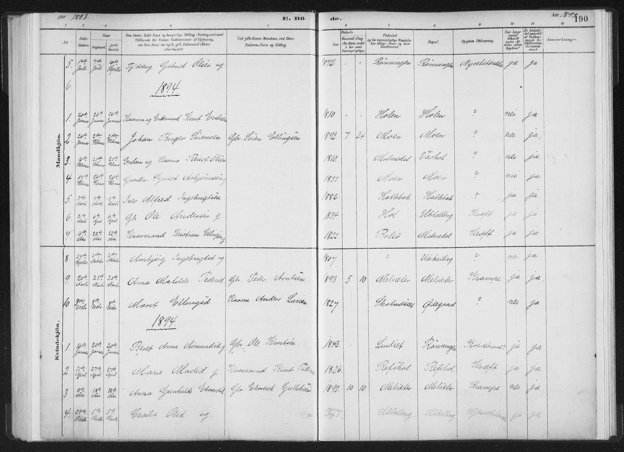 Ministerialprotokoller, klokkerbøker og fødselsregistre - Møre og Romsdal, AV/SAT-A-1454/564/L0740: Parish register (official) no. 564A01, 1880-1899, p. 190