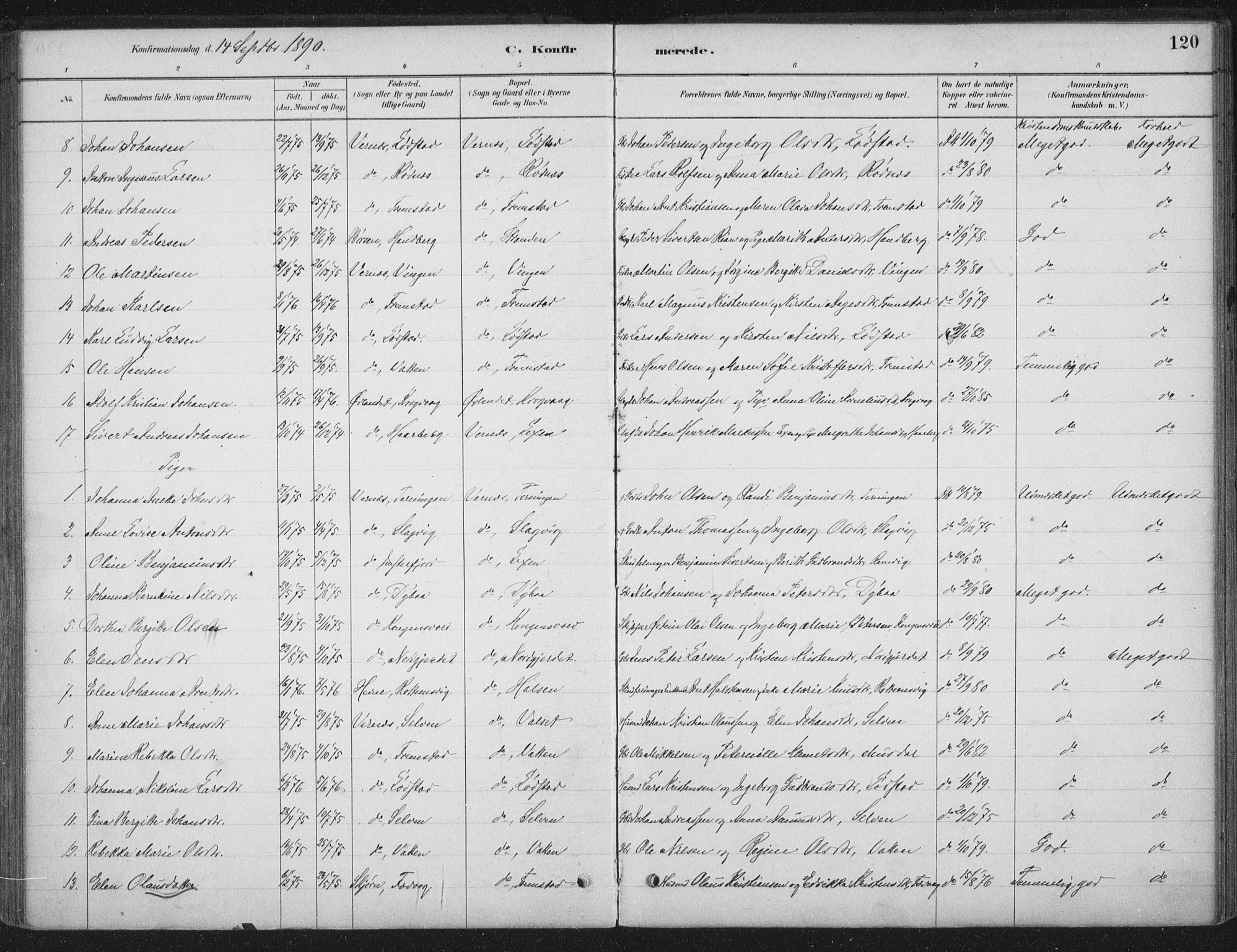 Ministerialprotokoller, klokkerbøker og fødselsregistre - Sør-Trøndelag, SAT/A-1456/662/L0755: Parish register (official) no. 662A01, 1879-1905, p. 120