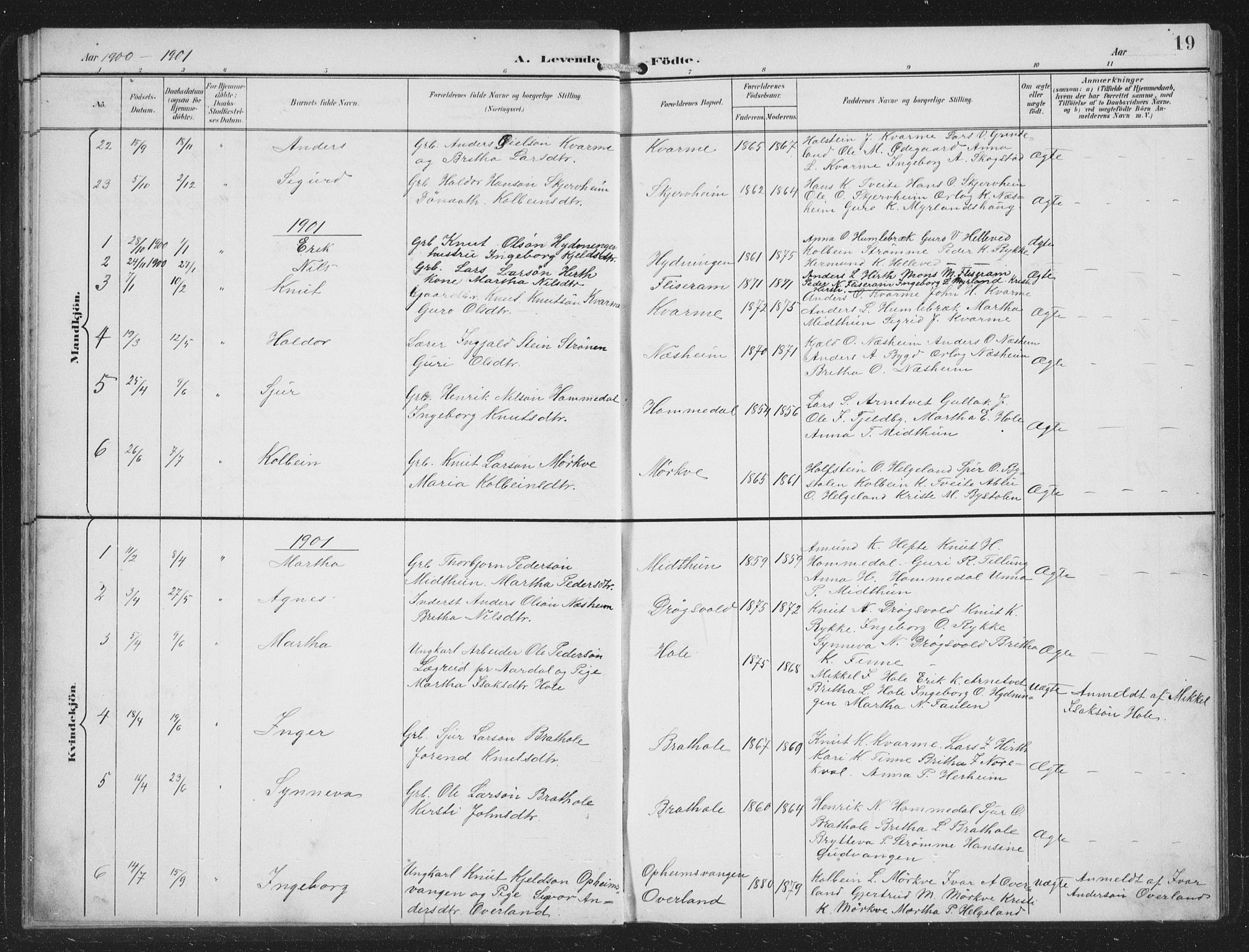 Vossestrand Sokneprestembete, SAB/A-79101/H/Hab: Parish register (copy) no. B 4, 1894-1941, p. 19