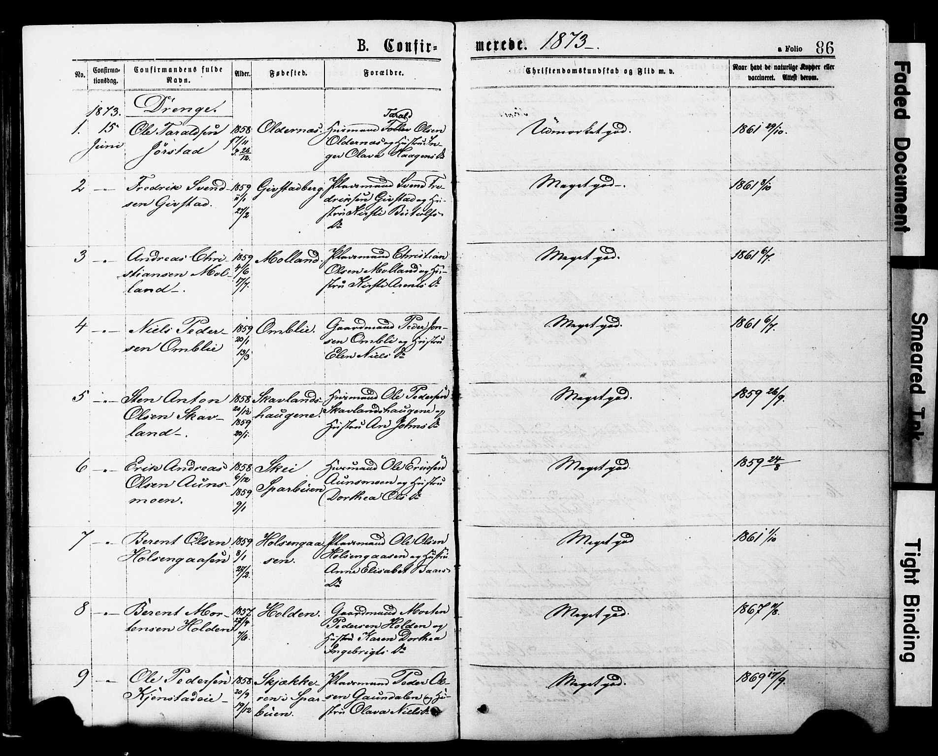 Ministerialprotokoller, klokkerbøker og fødselsregistre - Nord-Trøndelag, AV/SAT-A-1458/749/L0473: Parish register (official) no. 749A07, 1873-1887, p. 86